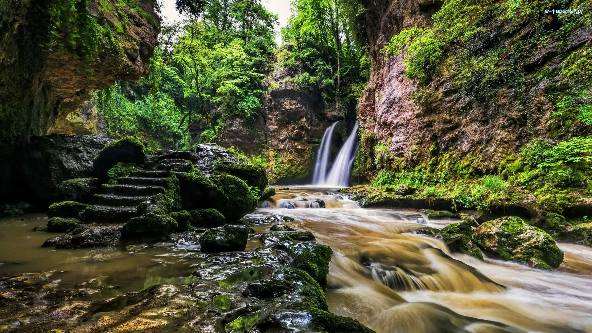 Kamienie, Kanton Vaud, Drzewa, Schody, Rzeka Venoge, Wodospad Tine de Conflens, Skały, Szwajcaria, Gmina La Sarraz, Rzeka