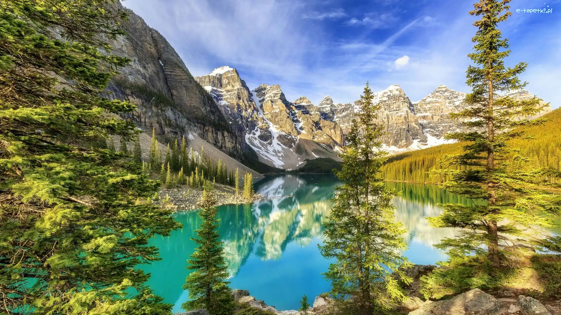 Drzewa, Park Narodowy Banff, Jezioro Moraine, Odbicie, Alberta, Kanada