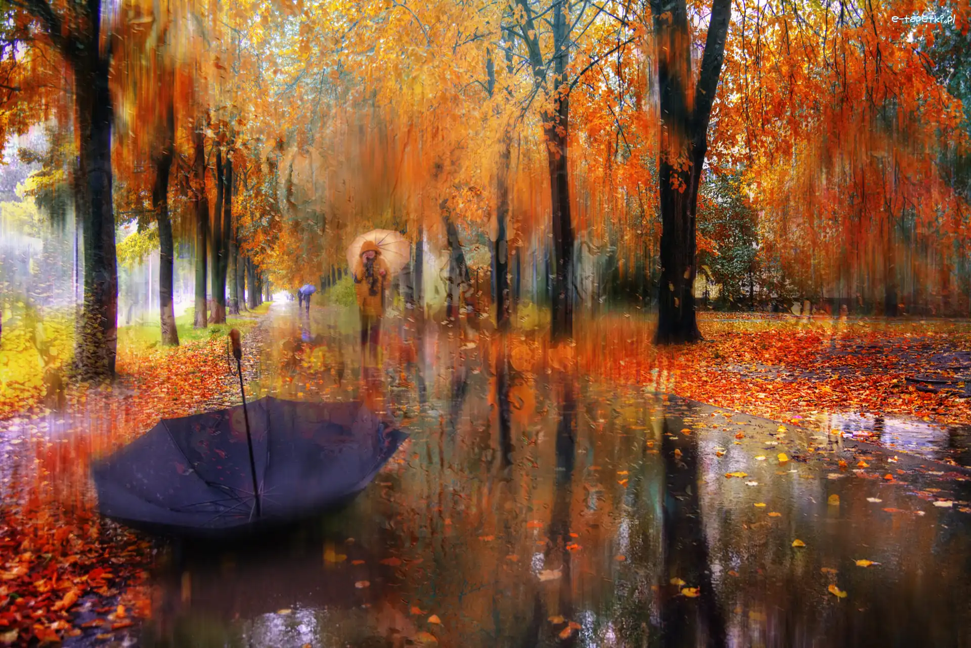 Parasol, Aleja, Deszcz, Park, Jesień, Ludzie, Drzewa