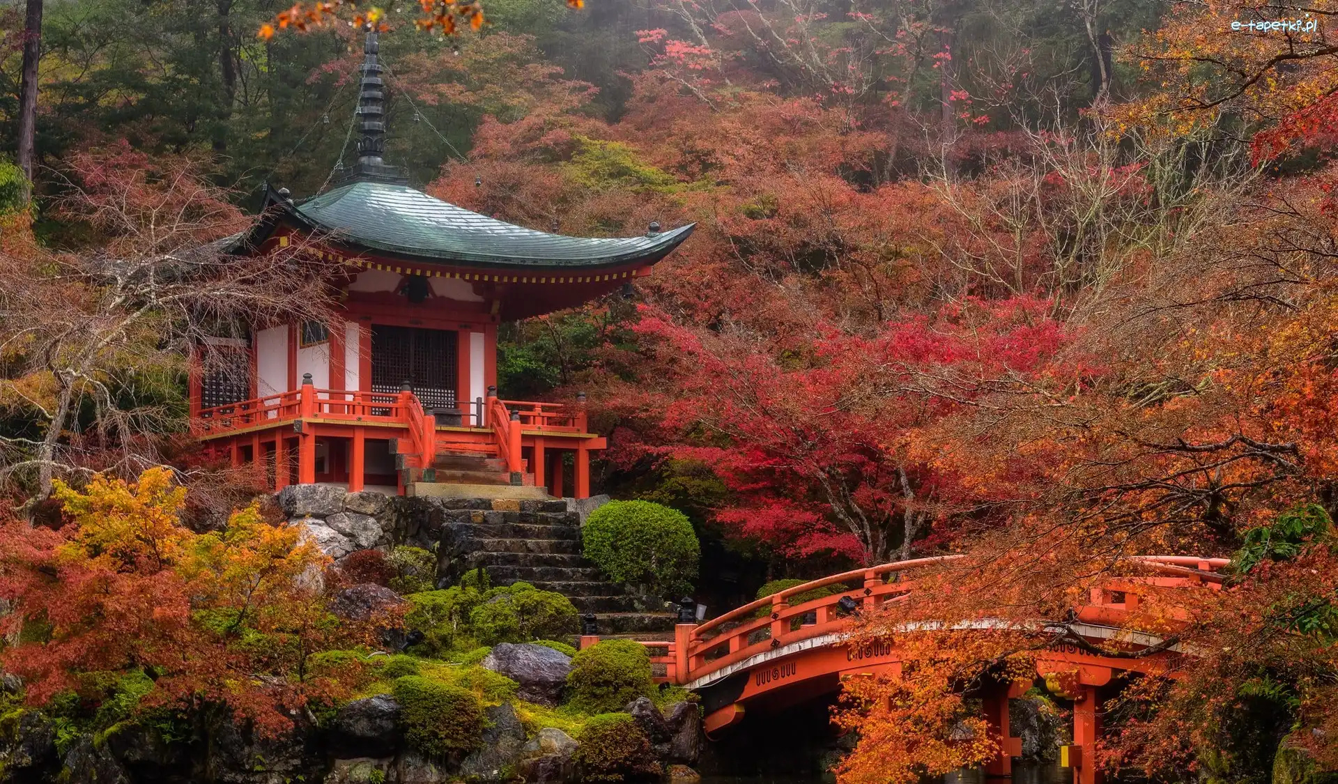 Świątynia Benten-dō, Kioto, Drzewa, Jesień, Kompleks świątynny Daigo-ji, Mostek, Staw, Japonia