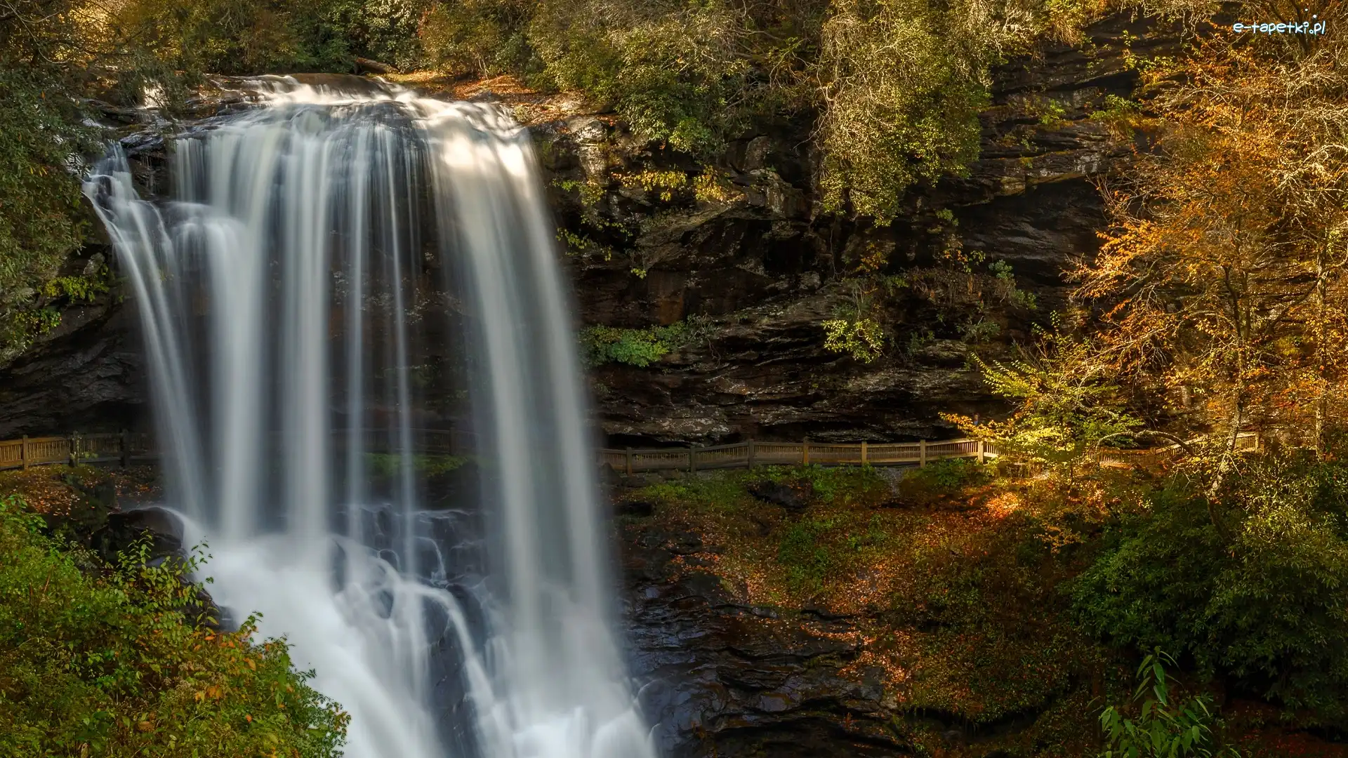 Las państwowy, Stan Karolina Północna, Drzewa, Skały, Highlands, Nantahala National Forest, Wodospad Dry Falls, Stany Zjednoczone