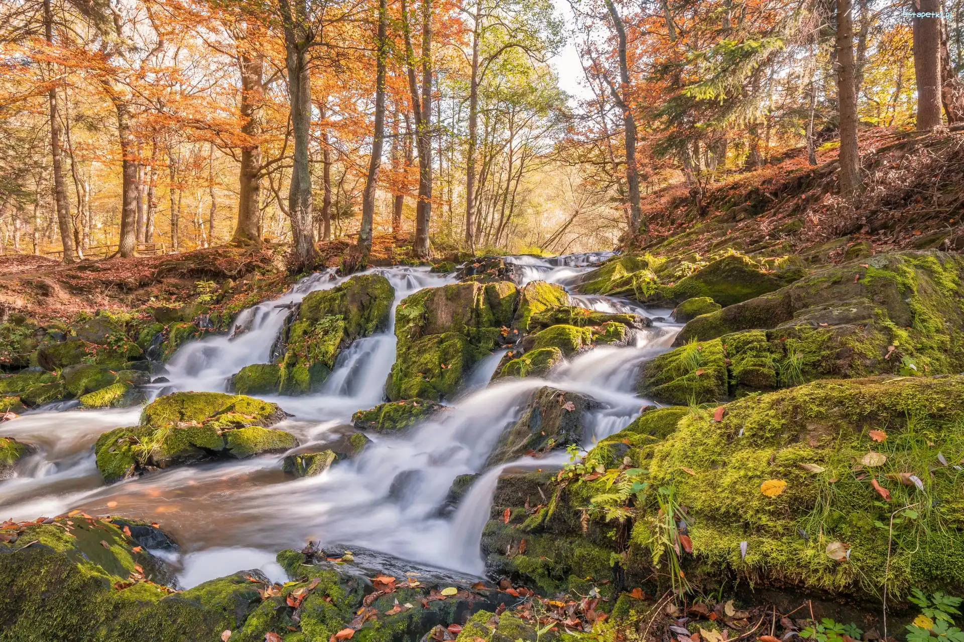 Jesień, Wodospad Selkefall, Góry Harz, Miasto Harzgerode, Niemcy, Kamienie, Omszałe, Rzeka Selke, Las