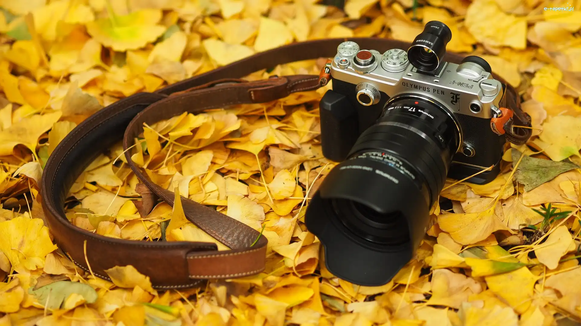 Aparat fotograficzny Olympus PEN, Liście