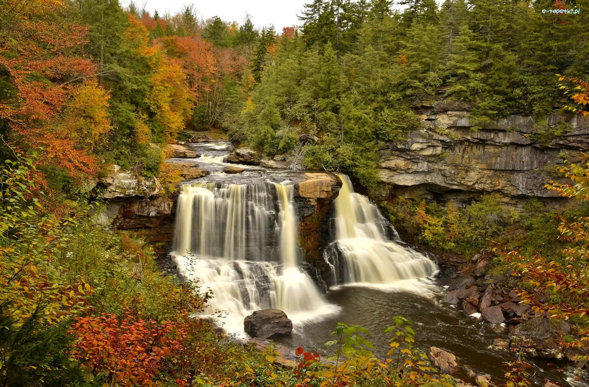Wodospad Blackwater Falls, Park stanowy Blackwater Falls, Jesień, Stan Wirginia Zachodnia, Stany Zjednoczone, Skały, Las