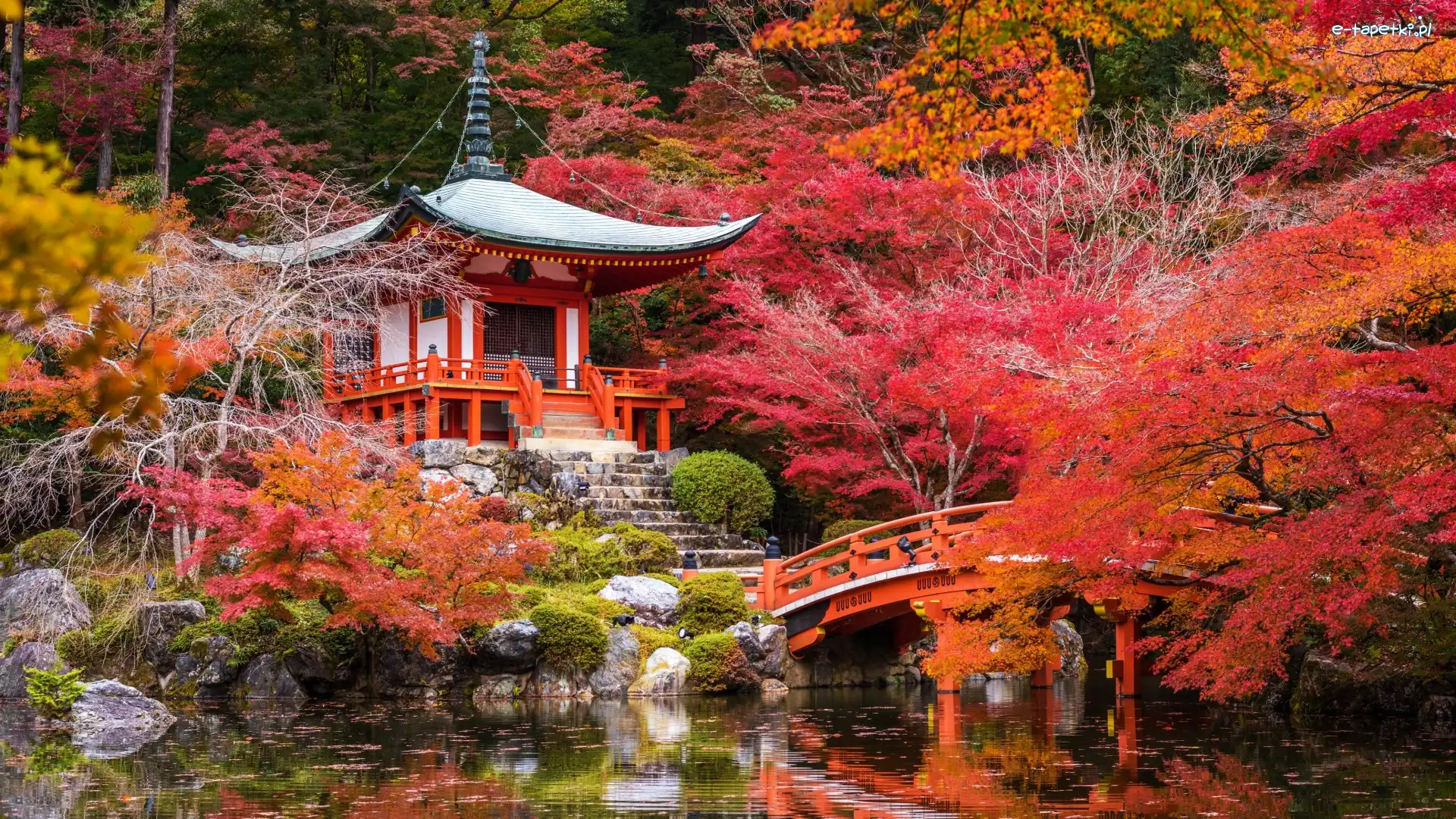 Świątynia Benten-dō, Kioto, Drzewa Kamienie, Jesień, Kompleks świątynny Daigo-ji, Mostek, Staw, Japonia