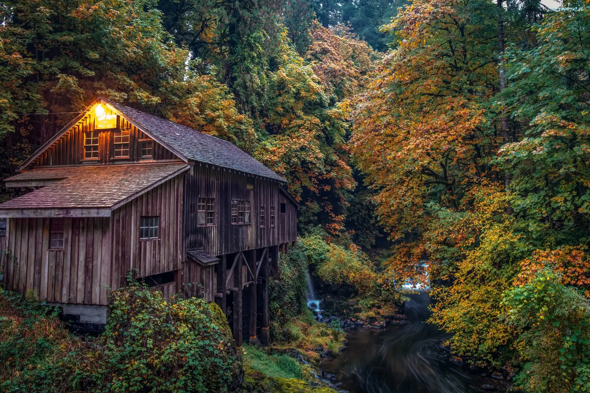 Las, Młyn Cedar Creek Grist Mill, Rzeka, Jesień, Stan Waszyngton, Stany Zjednoczone