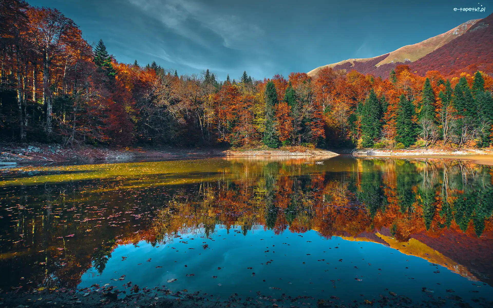 Jesień, Jezioro Biograd, Las, Drzewa, Park Narodowy Biogradska Gora, Czarnogóra