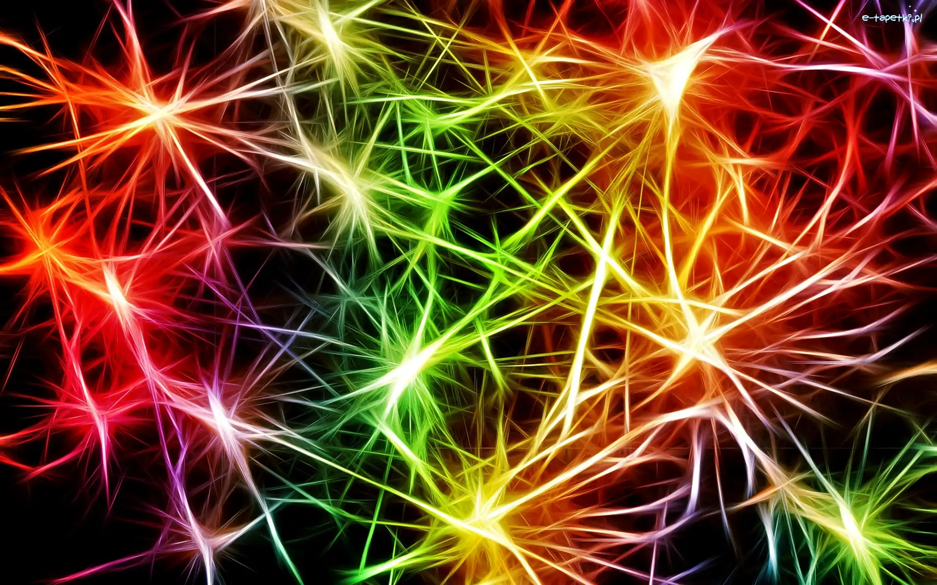 Neurony, Fractalius