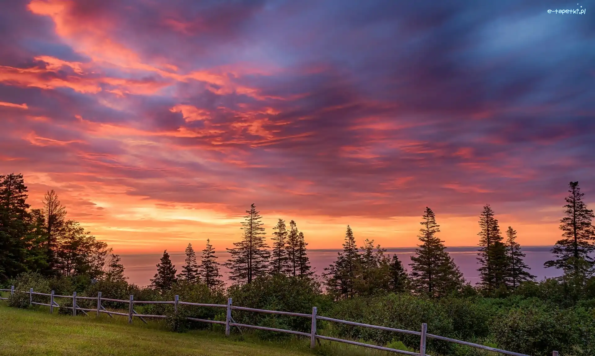 Morze, Park Prowincjonalny Blomidon, Zatoka Minas Basin, Nowa Szkocja, Kanada, Ogrodzenie, Wschód Słońca