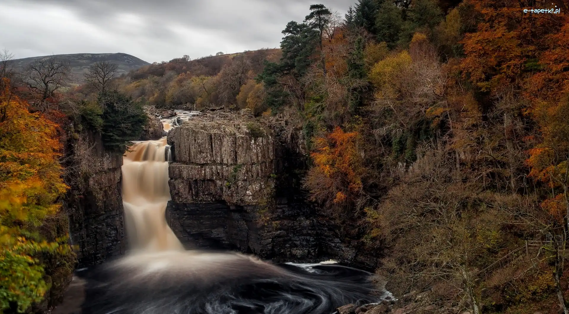 Wodospad High Force, Hrabstwo Durham, Skały, Drzewa, Rzeka Tees, Jesień, Las, Anglia