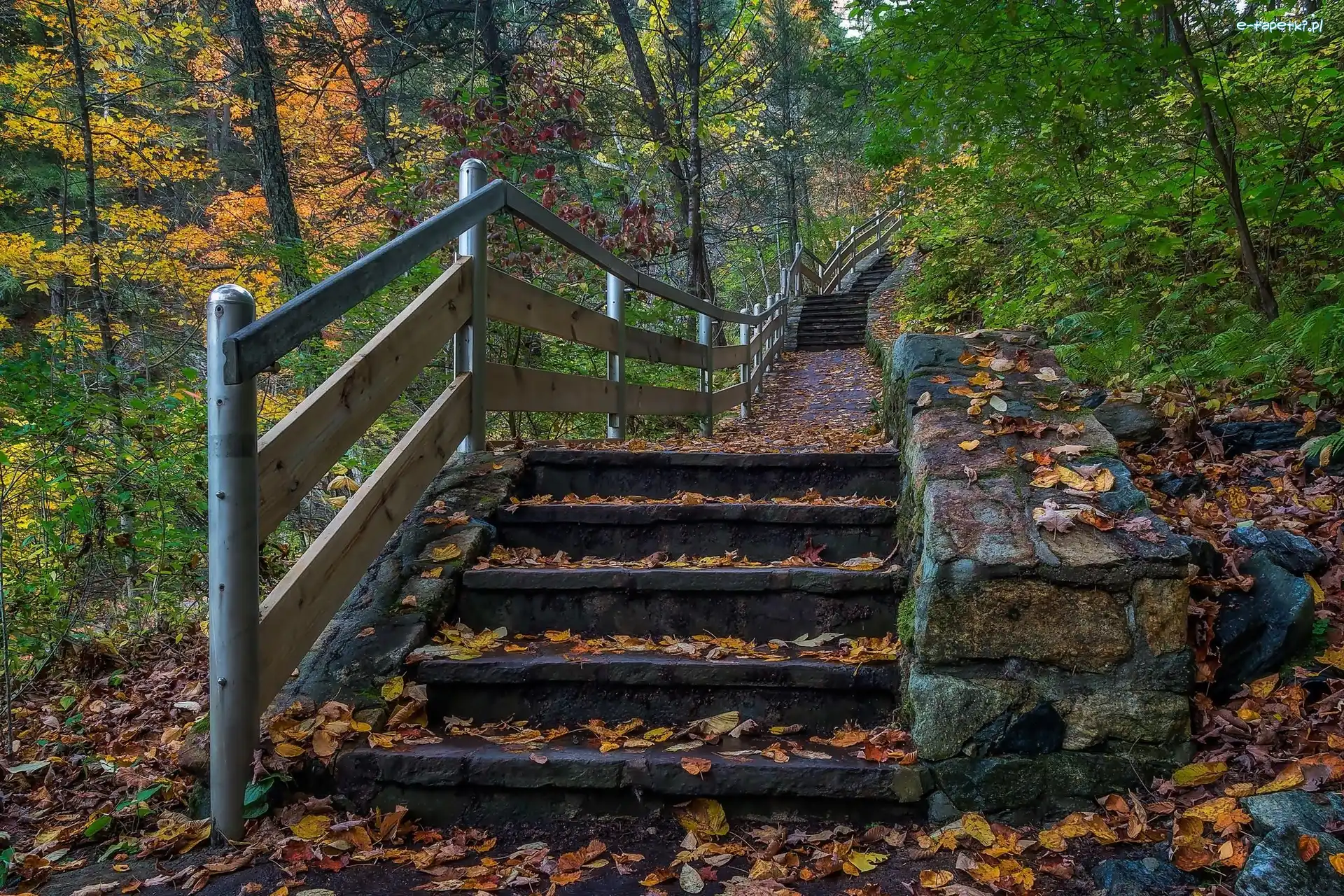 Park stanowy Kent Falls, Stan Connecticut, Jesień, Drzewa, Miasto Kent, Schody, Liście, Stany Zjednoczone