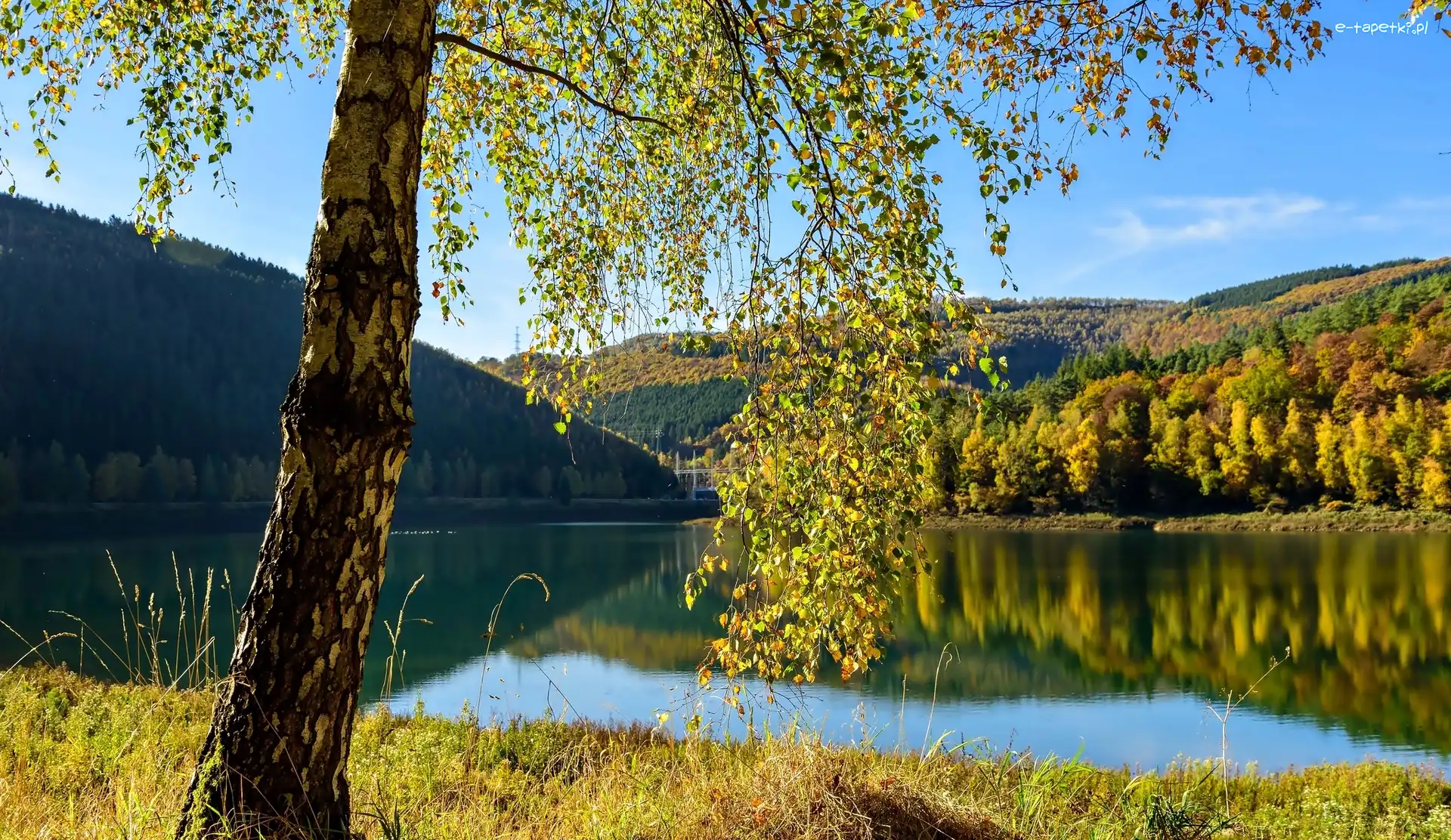 Wieś Coo, Prowincja Liège, Drzewo, Lasy, Gmina Stavelot, Jezioro, Wzgórza, Belgia