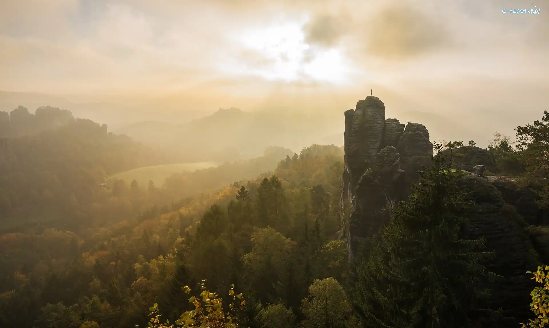 Mgła, Park Narodowy Saskiej Szwajcarii, Formacja skalna Bastei, Góry Połabskie, Niemcy, Drzewa, Skały