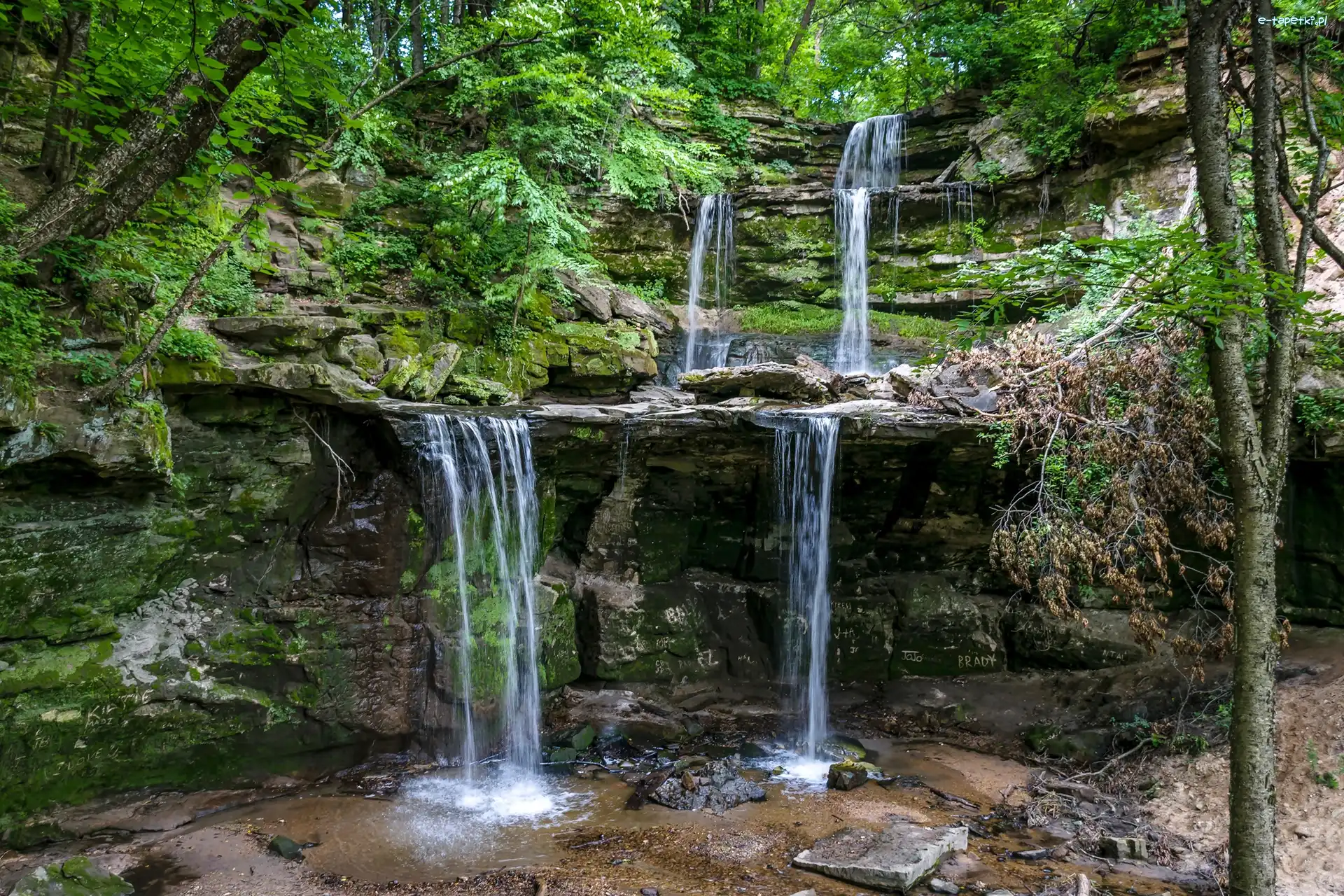 Las, Park Triple Falls, Rzeka Blue Earth River, Stan Minnesota, Stany Zjednoczone, Skały, Wodospad