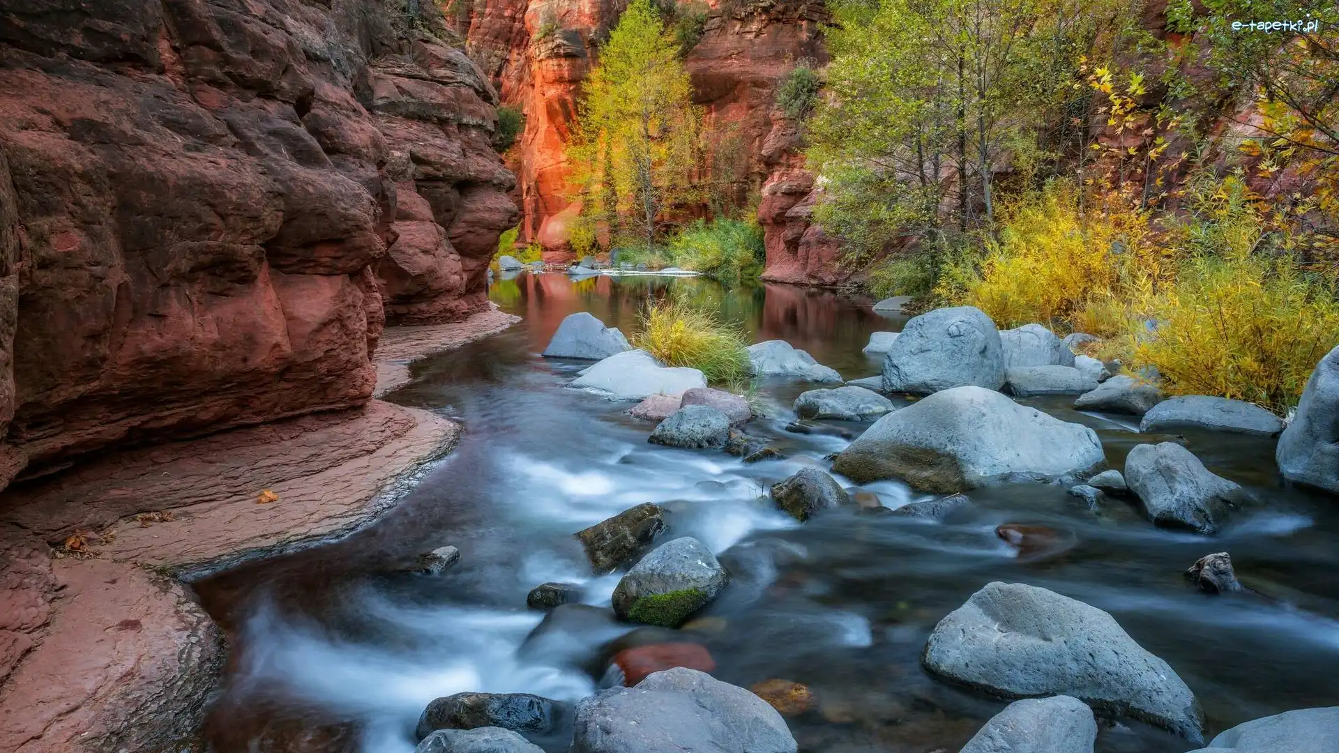 Wąwóz Oak Creek Canyon, Arizona, Drzewa, Kamienie, Sedona, Rzeka Oak Creek, Skały, Stany Zjednoczone