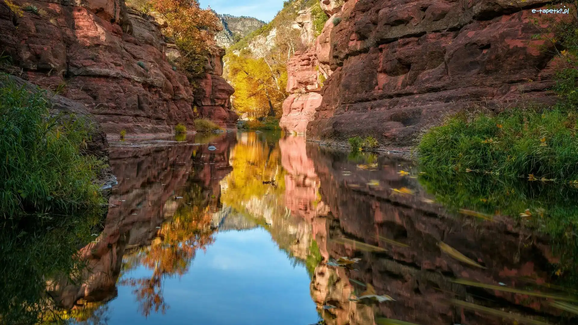 Wąwóz Oak Creek Canyon, Stan Arizona, Odbicie, Rośliny, Sedona, Skały, Rzeka, Stany Zjednoczone