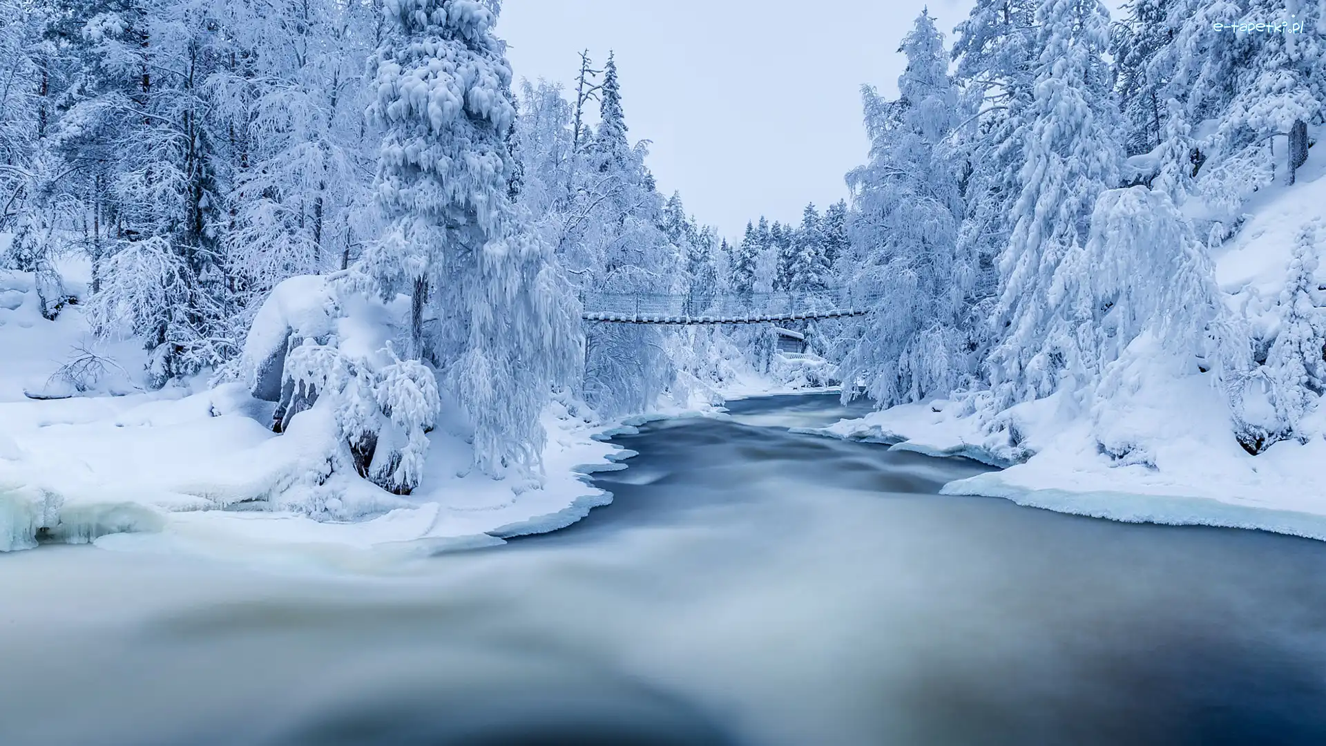 Śnieg, Finlandia, Las, Park Narodowy Oulanka, Most, Rzeka Kitkajoki, Zima, Drzewa, Katarakty Myllykoski, Laponia, Ośnieżone