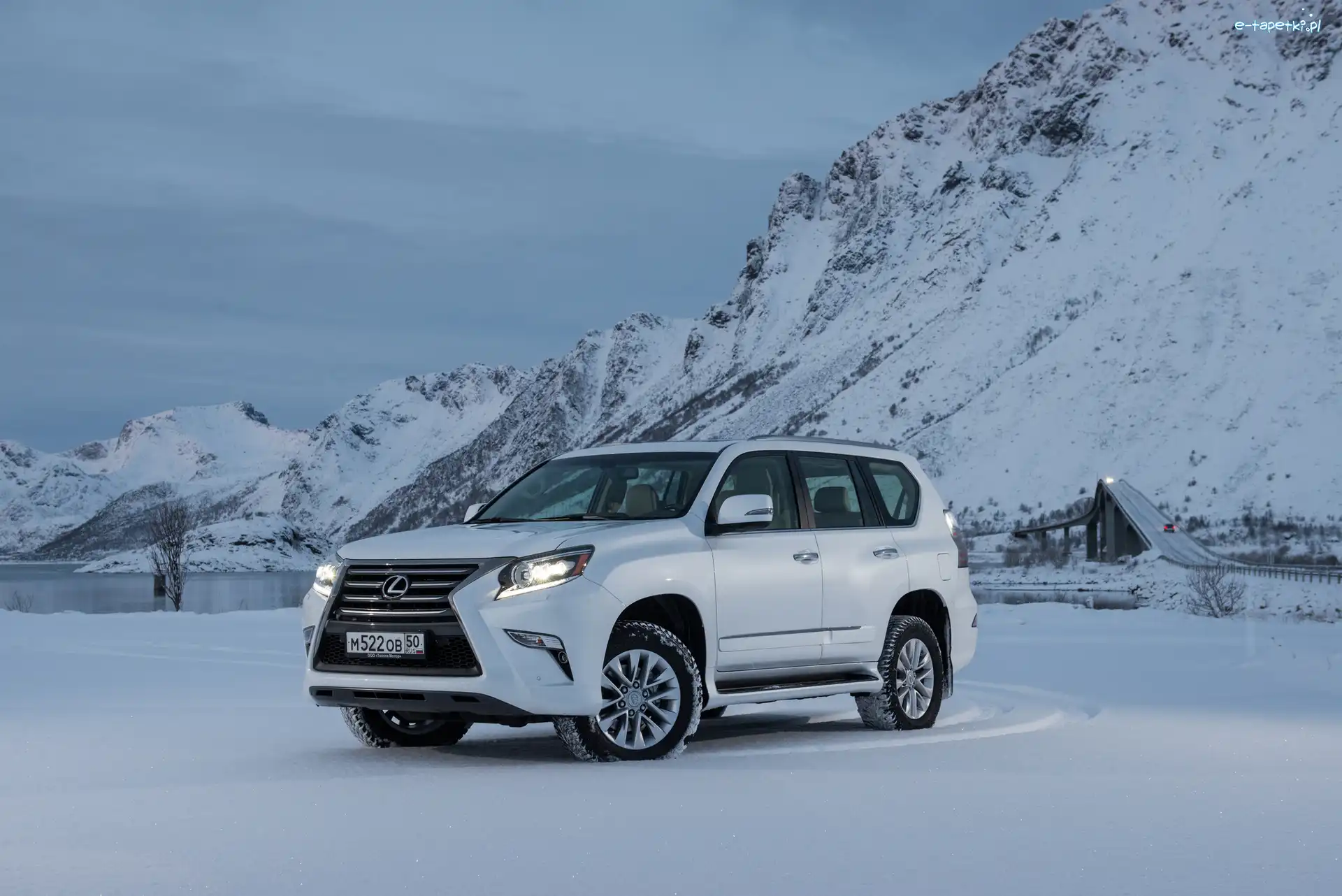 2014, Lexus GX 460, Biały
