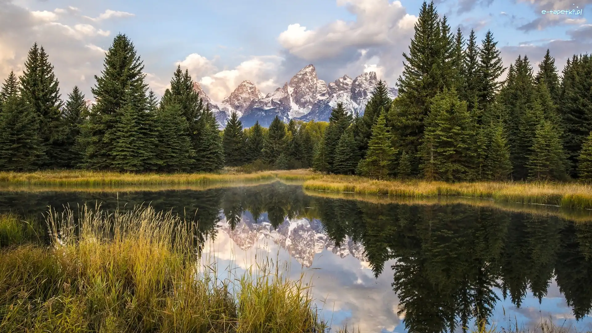 Rzeka Snake River, Stan Wyoming, Odbicie, Trawy, Park Narodowy Grand Teton, Góry Teton Range, Drzewa, Stany Zjednoczone