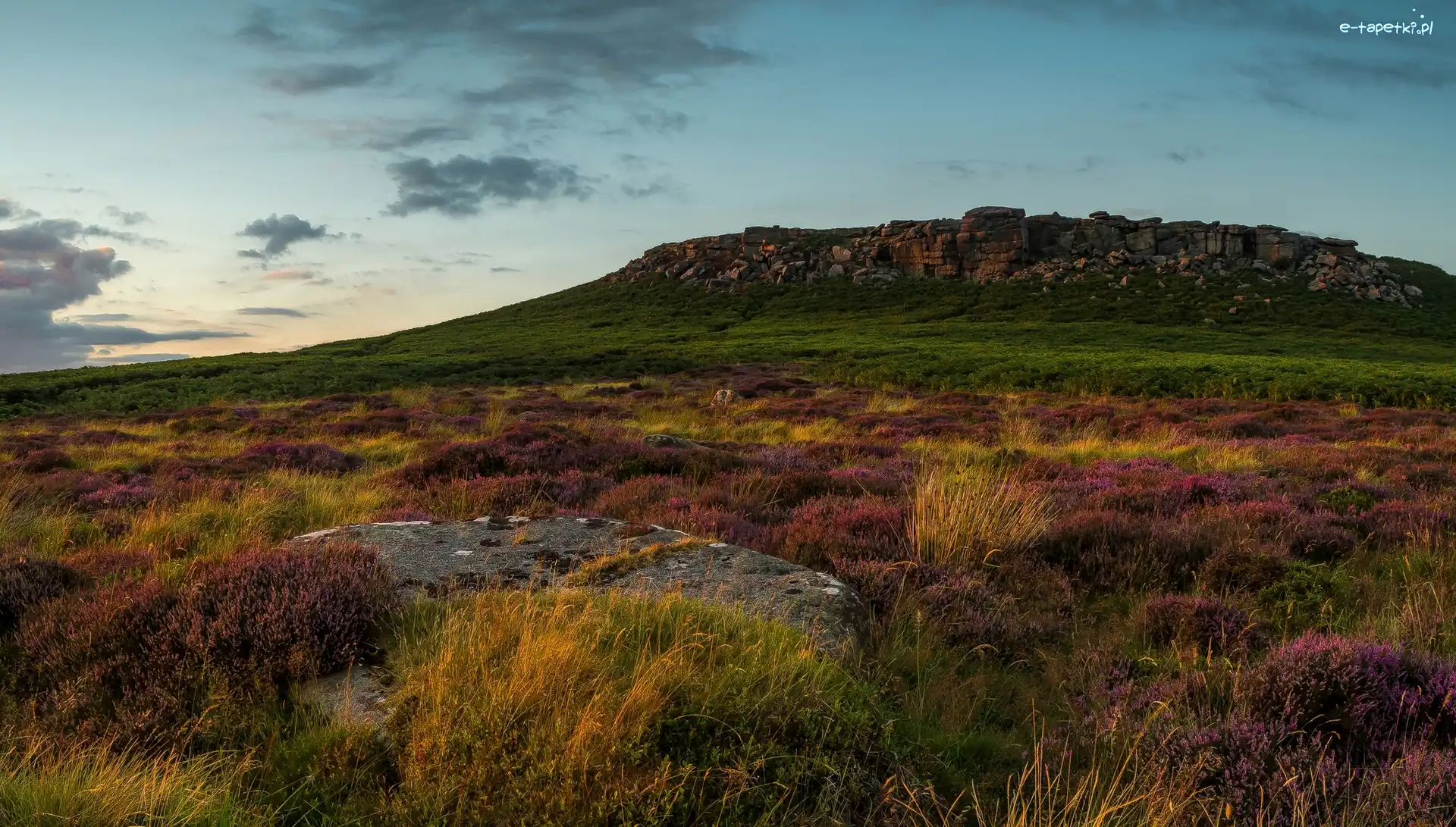 Wrzosy, Wzgórza, Wrzosowisko, Kamienie, Park Narodowy Peak District, Anglia