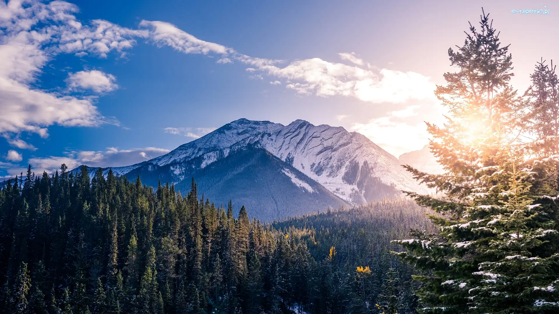 Wschód słońca, Park Narodowy Banff, Góry Skaliste, Prowincja Alberta, Kanada, Drzewa, Las