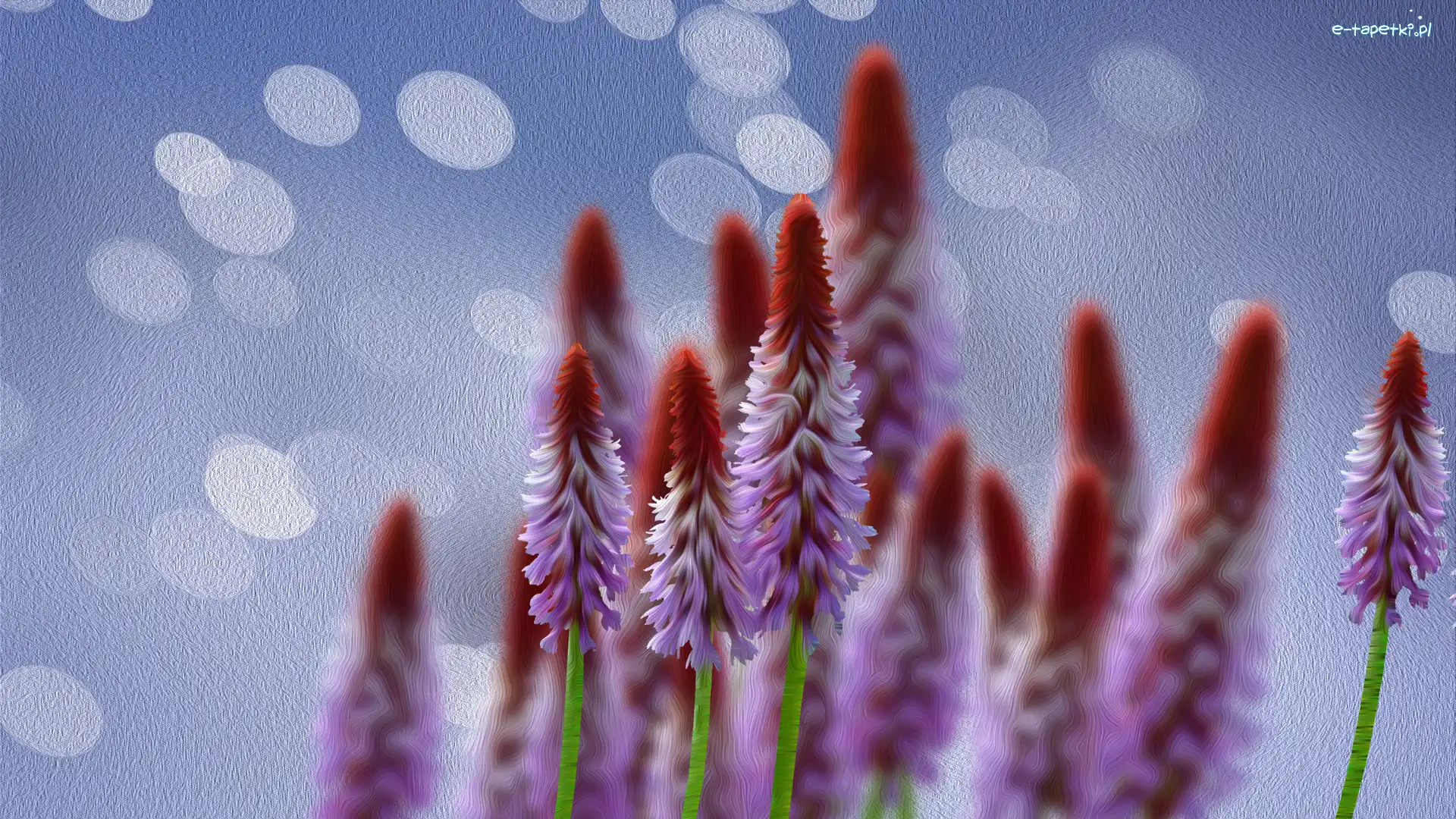 Grafika, Rozmycie, Kwiaty
