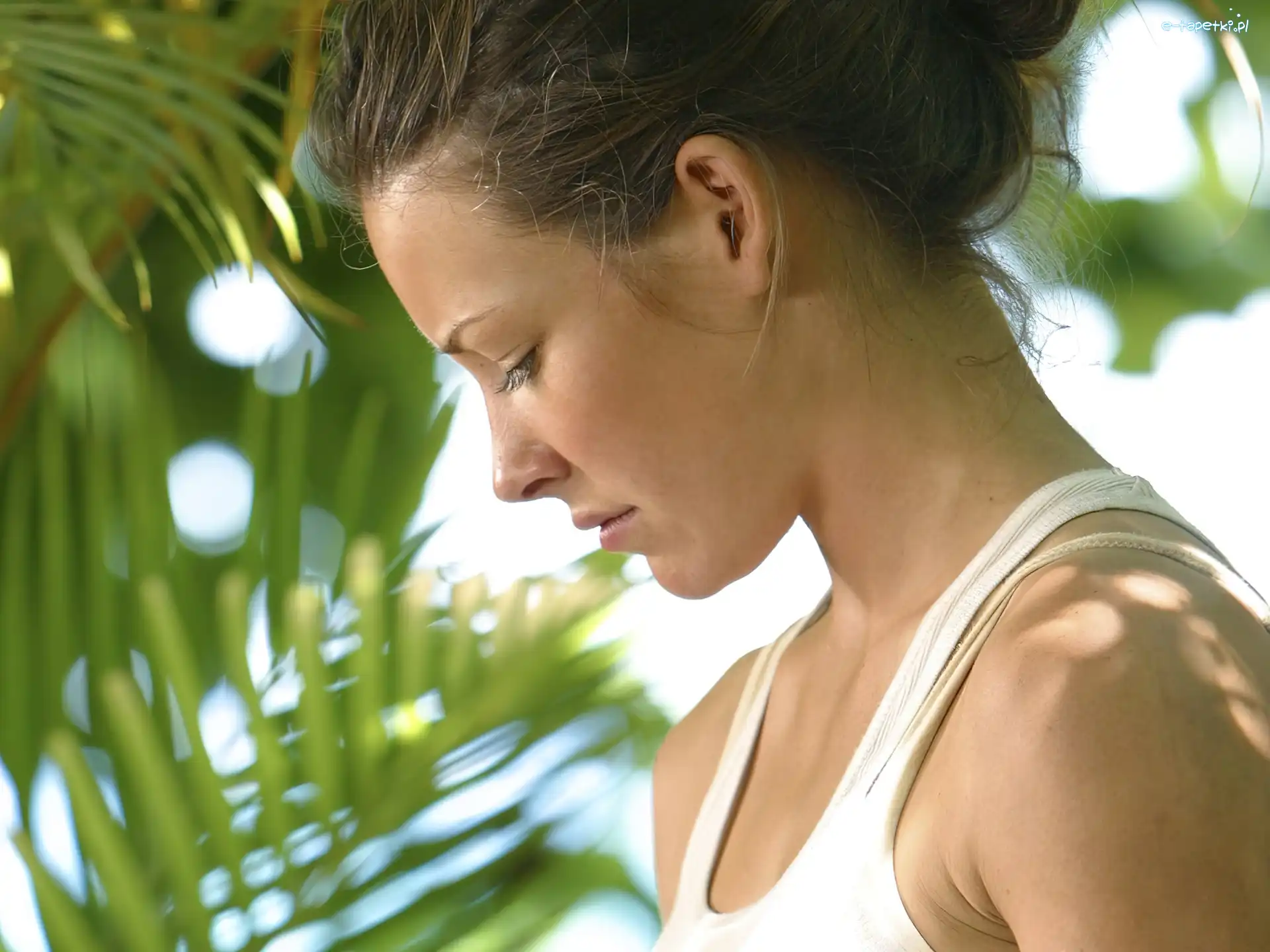 Zagubieni, Evangeline Lilly, Lost, Serial