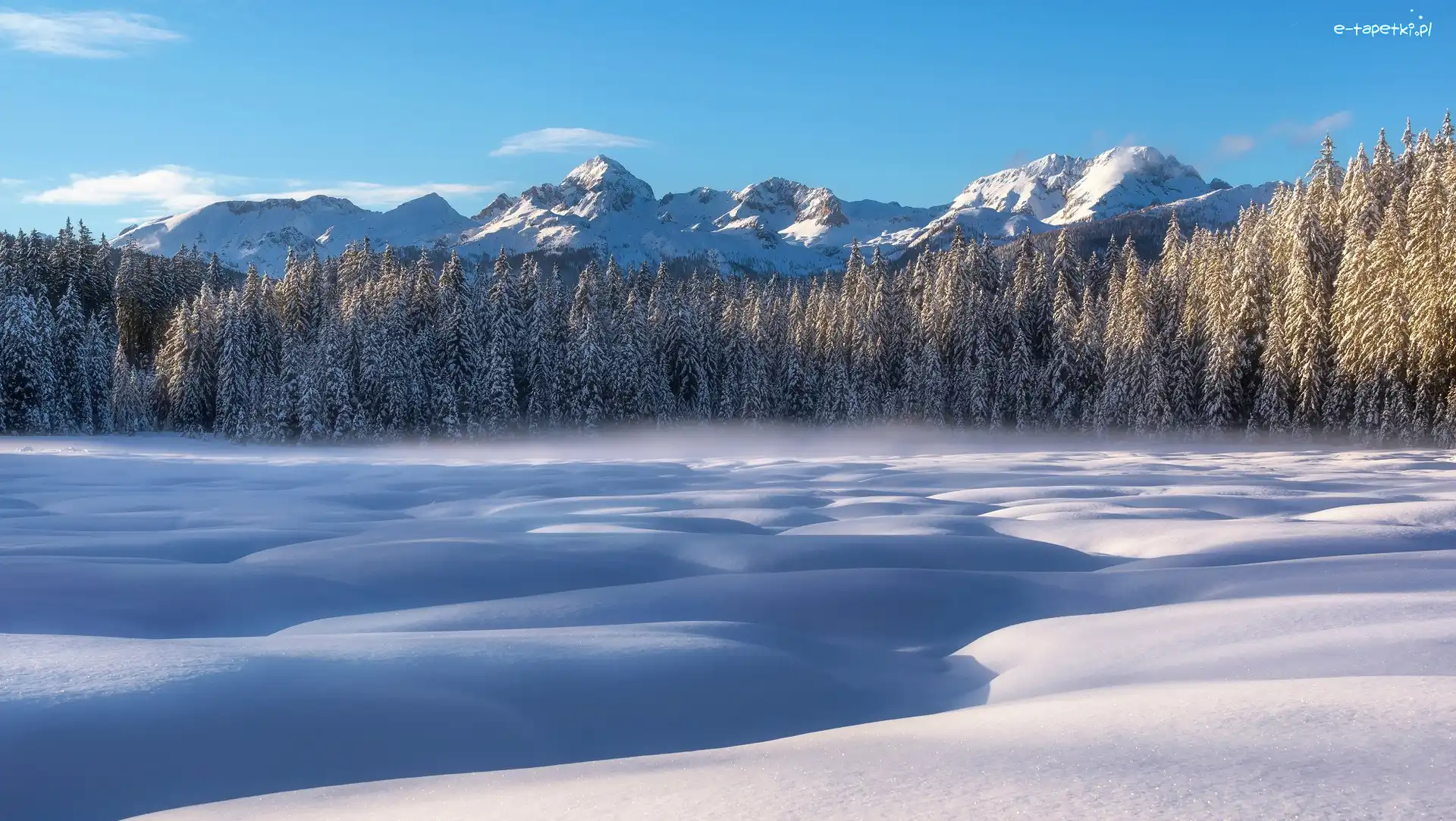 Płaskowyż Pokljuka, Triglavski Park Narodowy, Las, Drzewa, Góry Alpy Julijskie, Torfowisko Barje Šijec, Zima, Słowenia