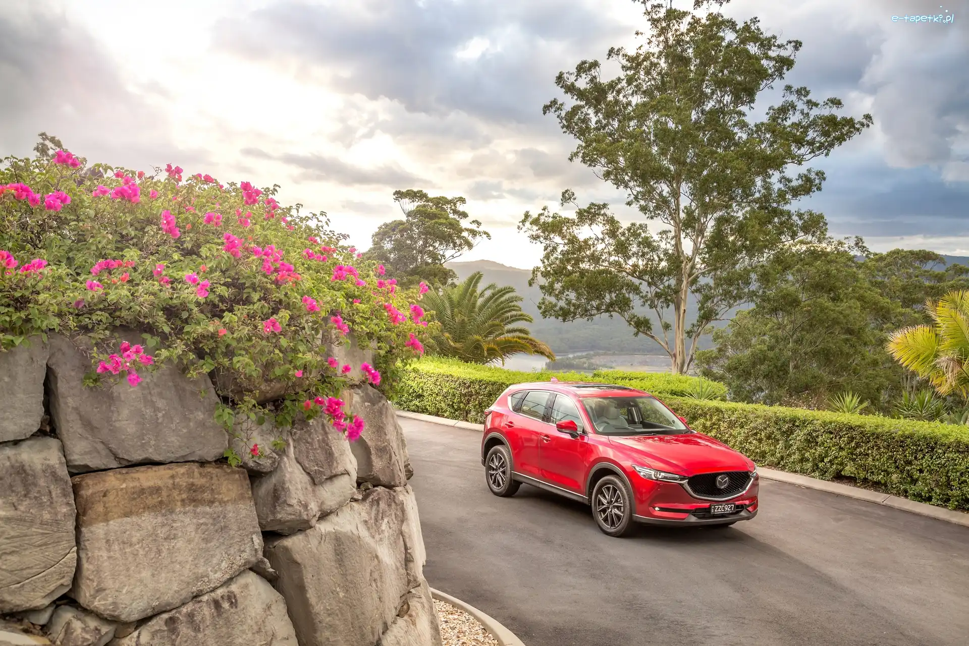 Mazda CX-5 Akera, Droga, 2017, Drzewo, Mur