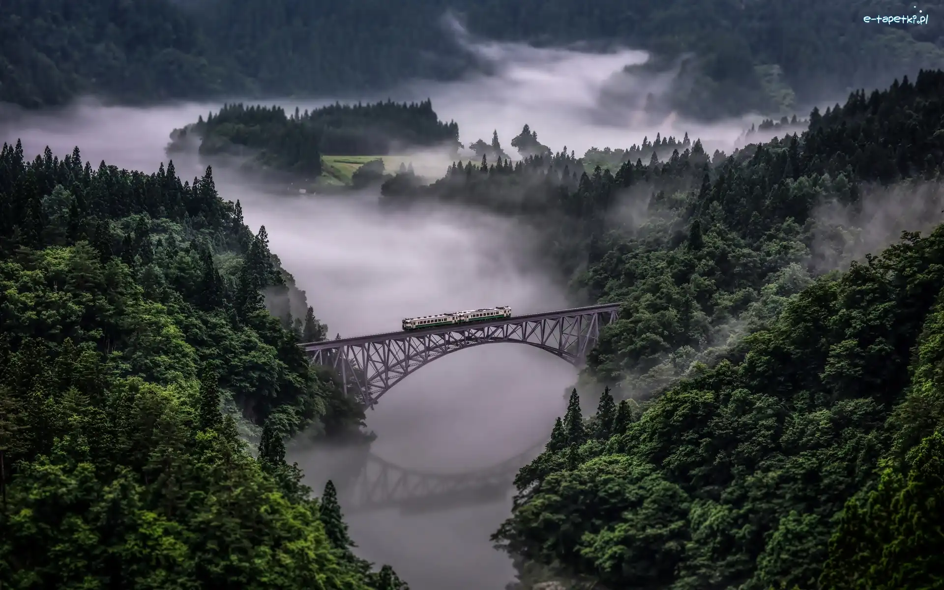 Pociąg, Rzeka Tadami, Prefektura Niigata, Prefektura Fukushima, Japonia, Mgła, Drzewa, Most Tadami River Bridge, Lasy
