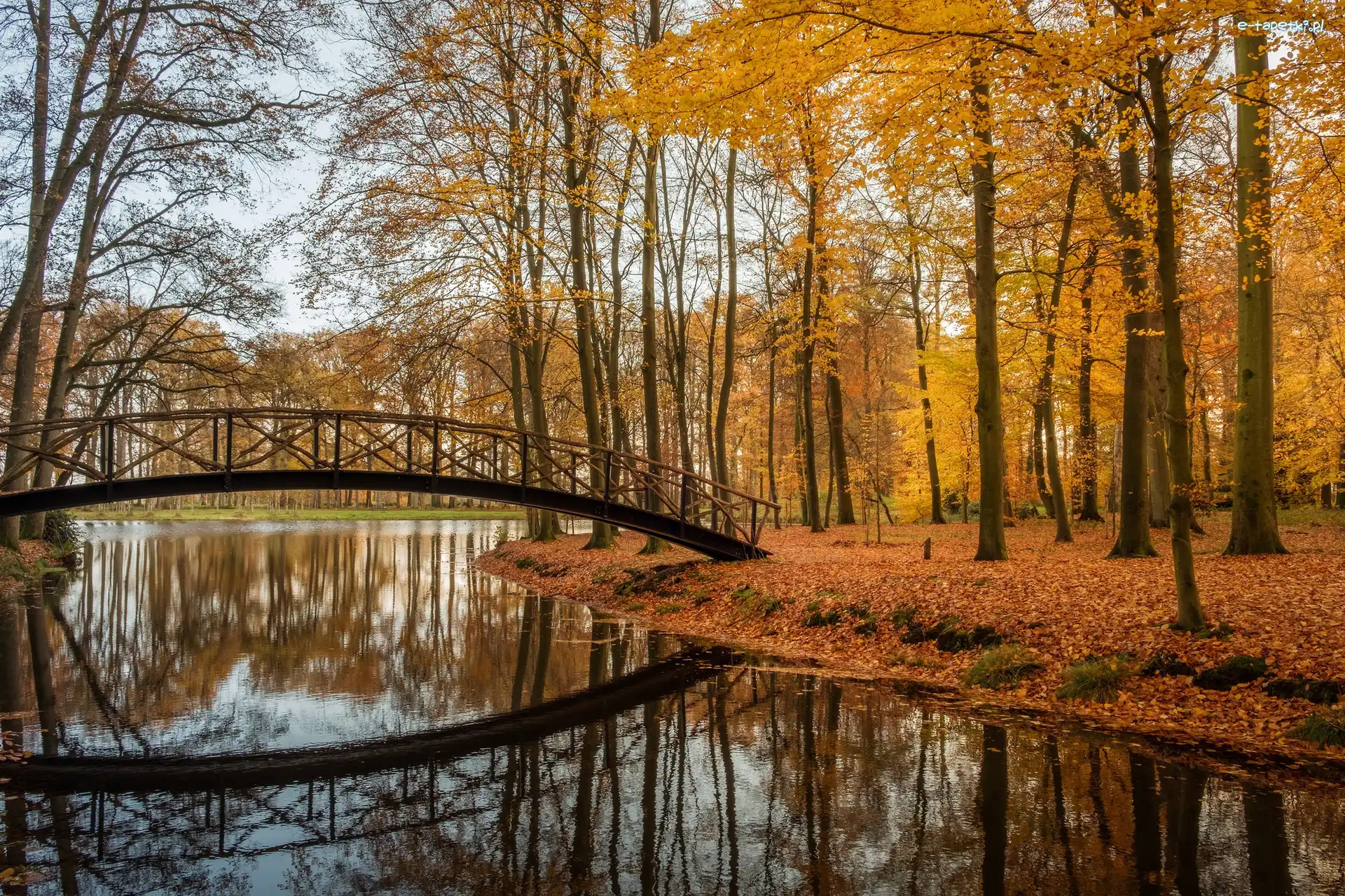Posiadłość Huis Voorstonden, Prowincja Geldria, Mostek, Jesień, Gmina Brummen, Park, Staw, Holandia
