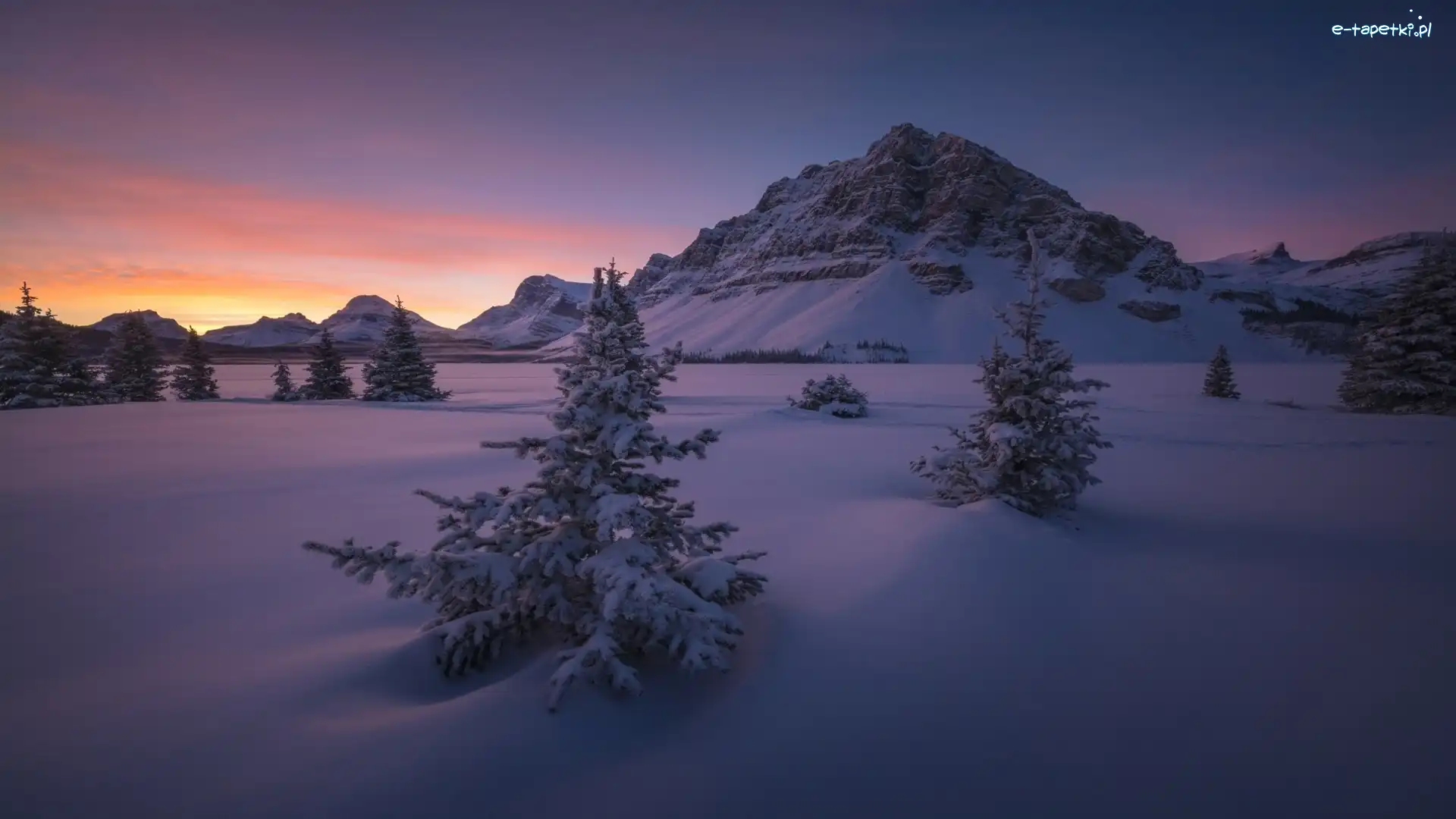 Góra Crowfoot Mountain, Alberta, Drzewa, Wschód słońca, Park Narodowy Banff, Góry, Zima, Kanada