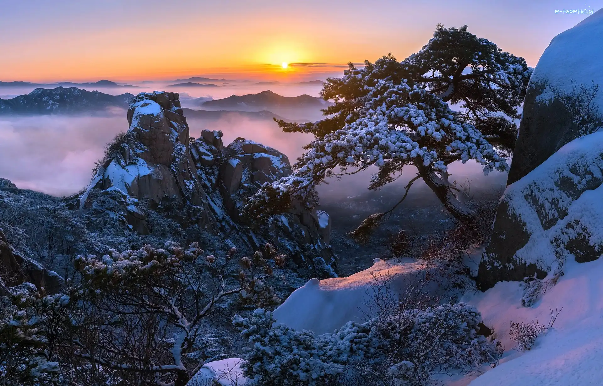 Skały, Prowincja Gyeonggi-do, Sosna, Mgła, Góra Dobongsan, Zima, Wschód słońca, Korea Południowa, Park Narodowy Bukhansan, Drzewa