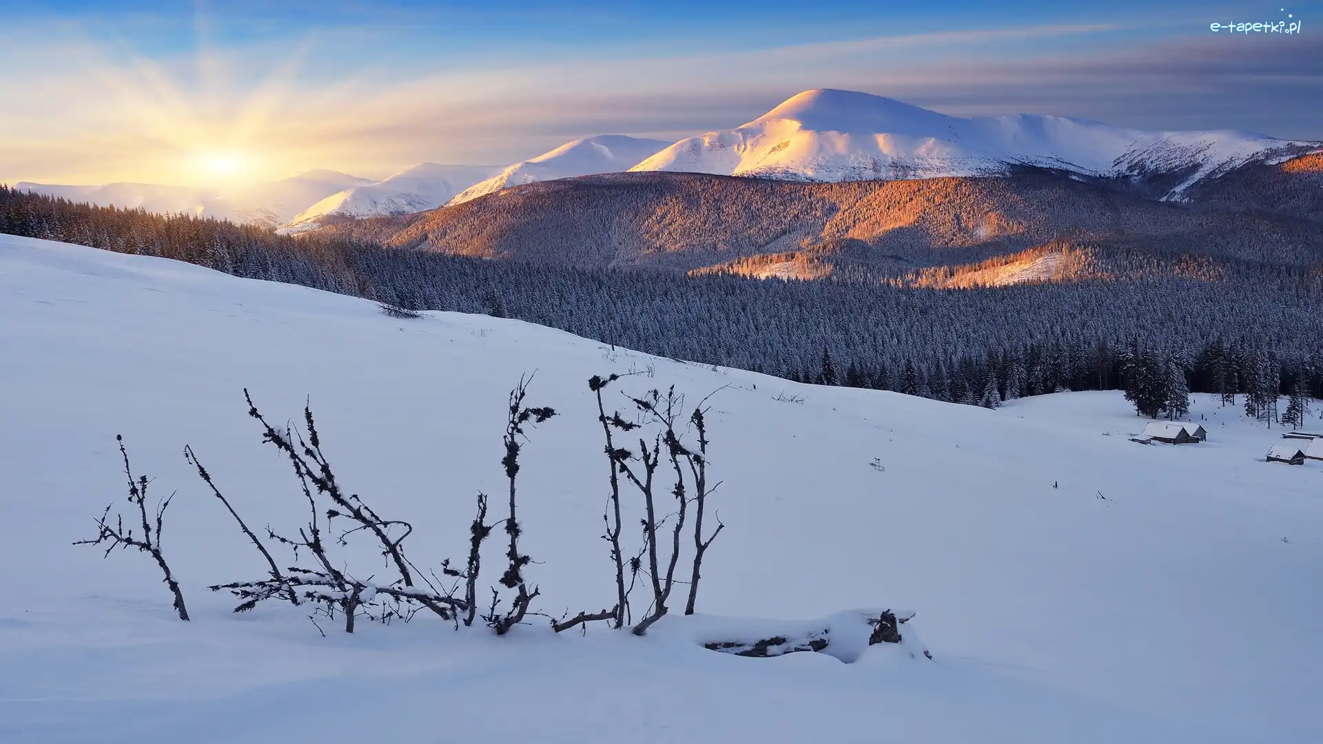 Ukraina, Las, Góry Karpaty, Wschód słońca, Zima