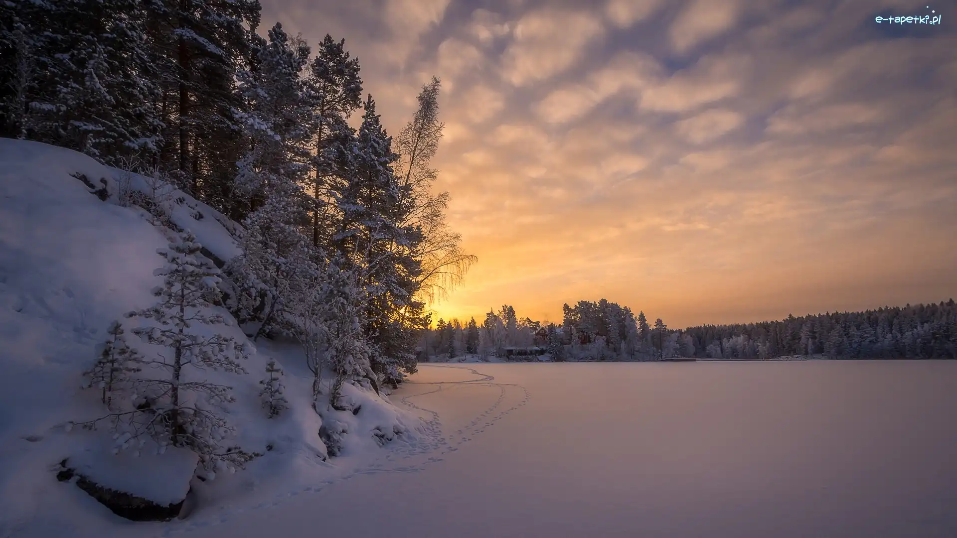 Jezioro Näsijärvi, Rejon Pirkanmaa, Tampere, Wschód słońca, Las, Drzewa, Zamarznięte, Zima, Świt, Domy, Ślady, Finlandia