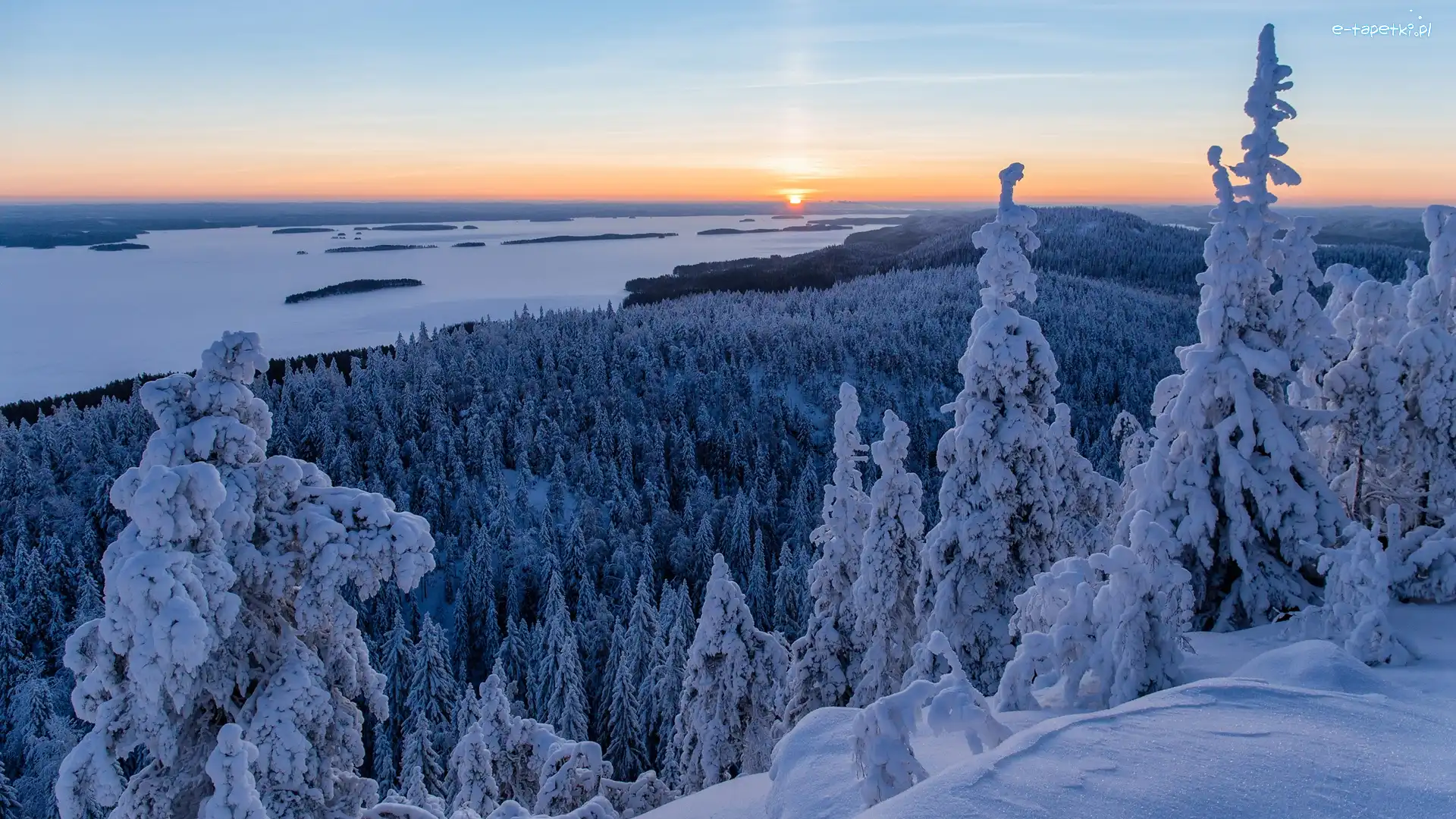 Las, Finlandia, Wzgórza, Park Narodowy Koli, Zachód słońca, Lieksa, Zima, Świerki, Jezioro Pielinen, Karelia Północna, Ośnieżone