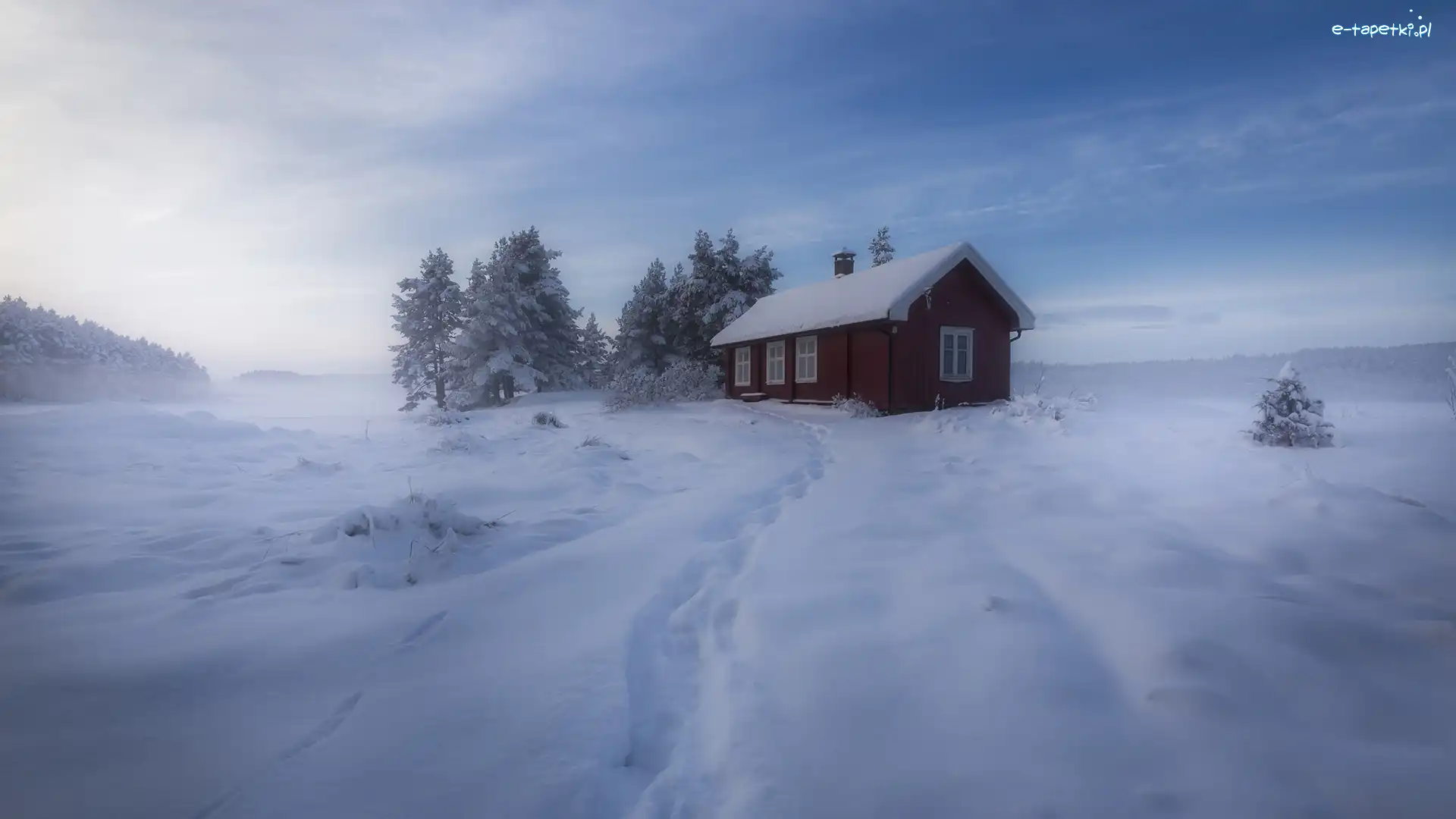 Drzewa, Gmina Ringerike, Mgła, Śnieg, Zima, Las, Dom, Norwegia
