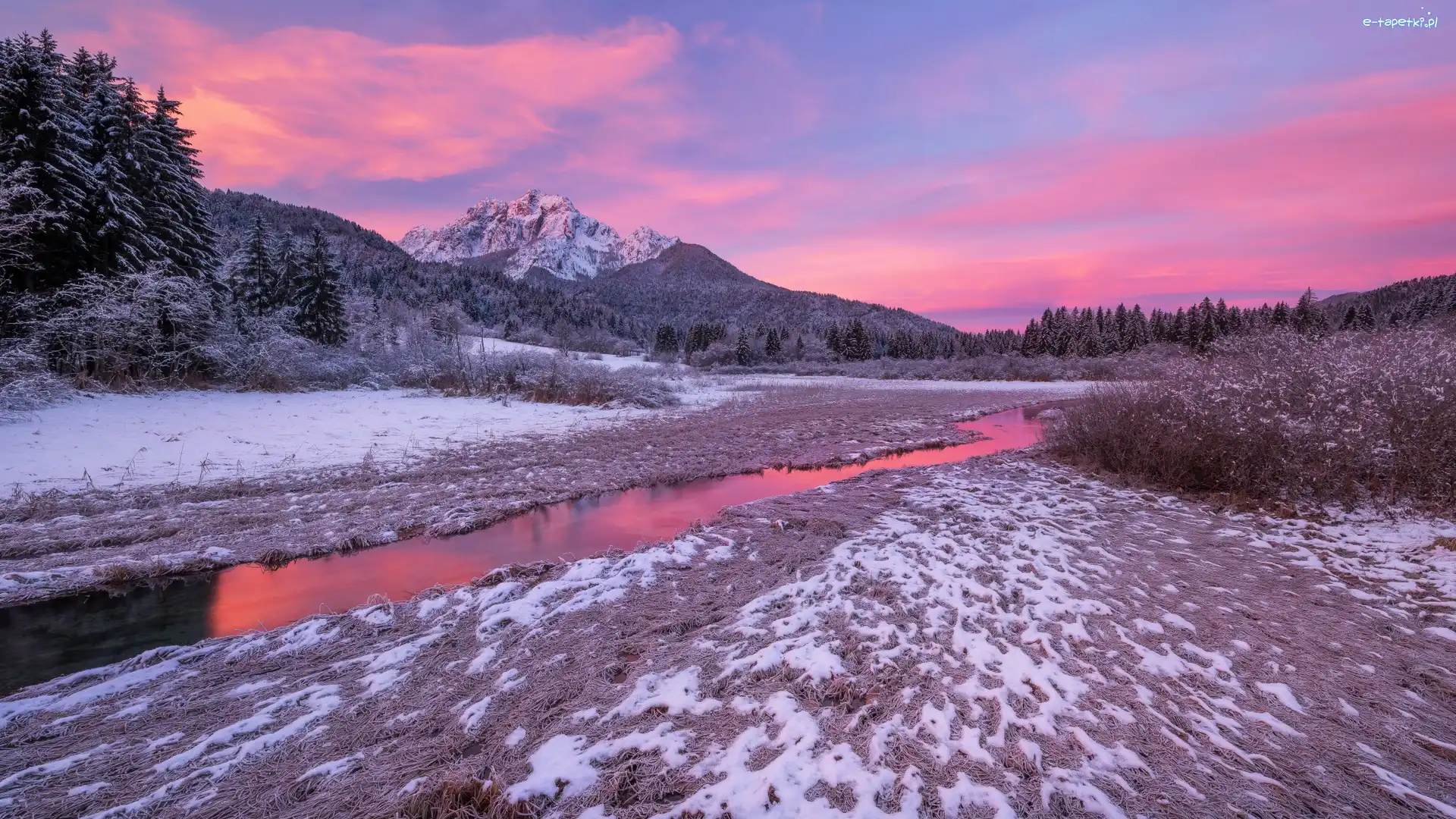Drzewa, Rezerwat przyrody Zelenci Springs, Wschód słońca, Kranjska Góra, Słowenia, Rzeka, Zima