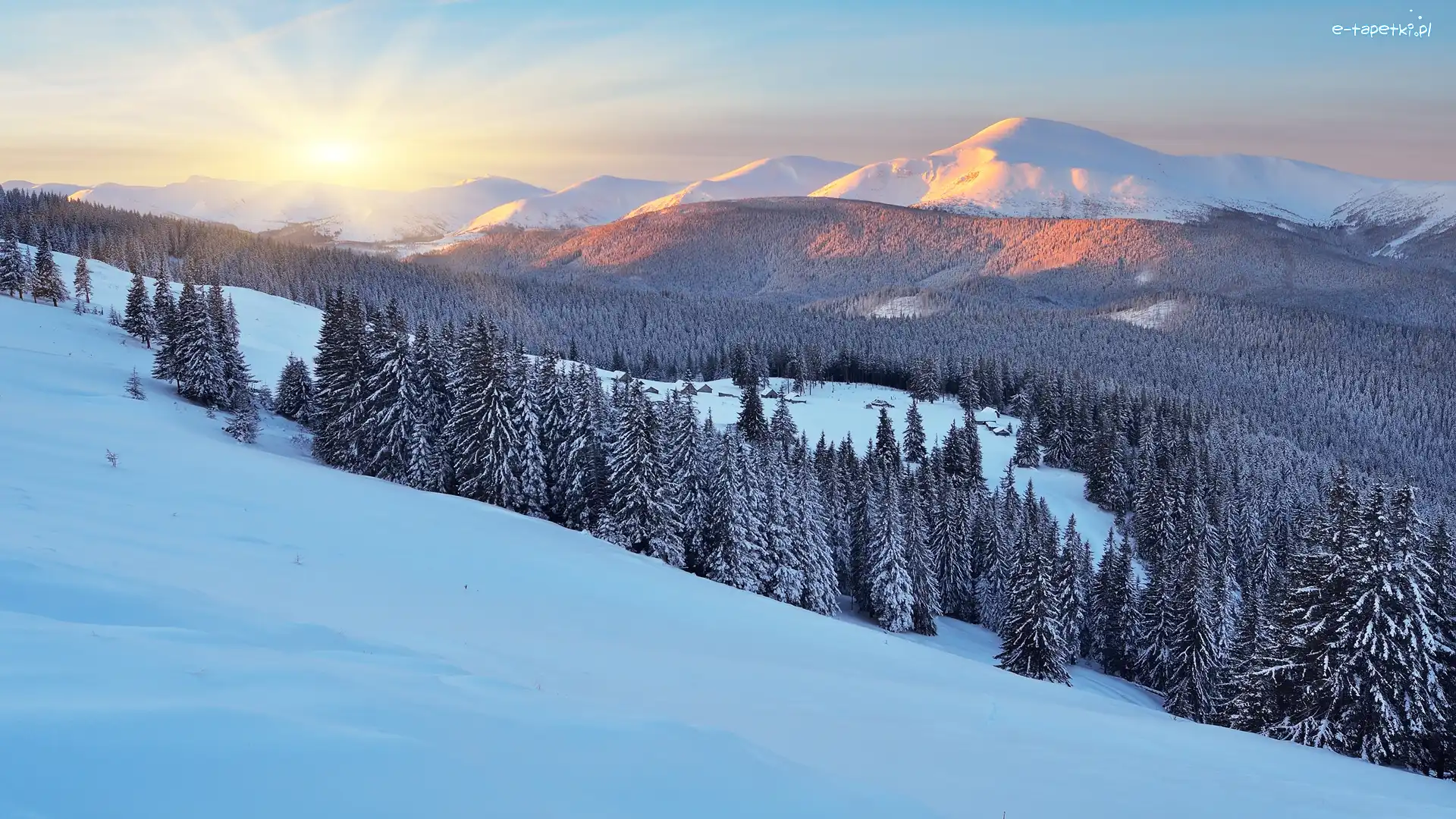 Las, Góry Karpaty, Drzewa, Wschód słońca, Zima, Ukraina