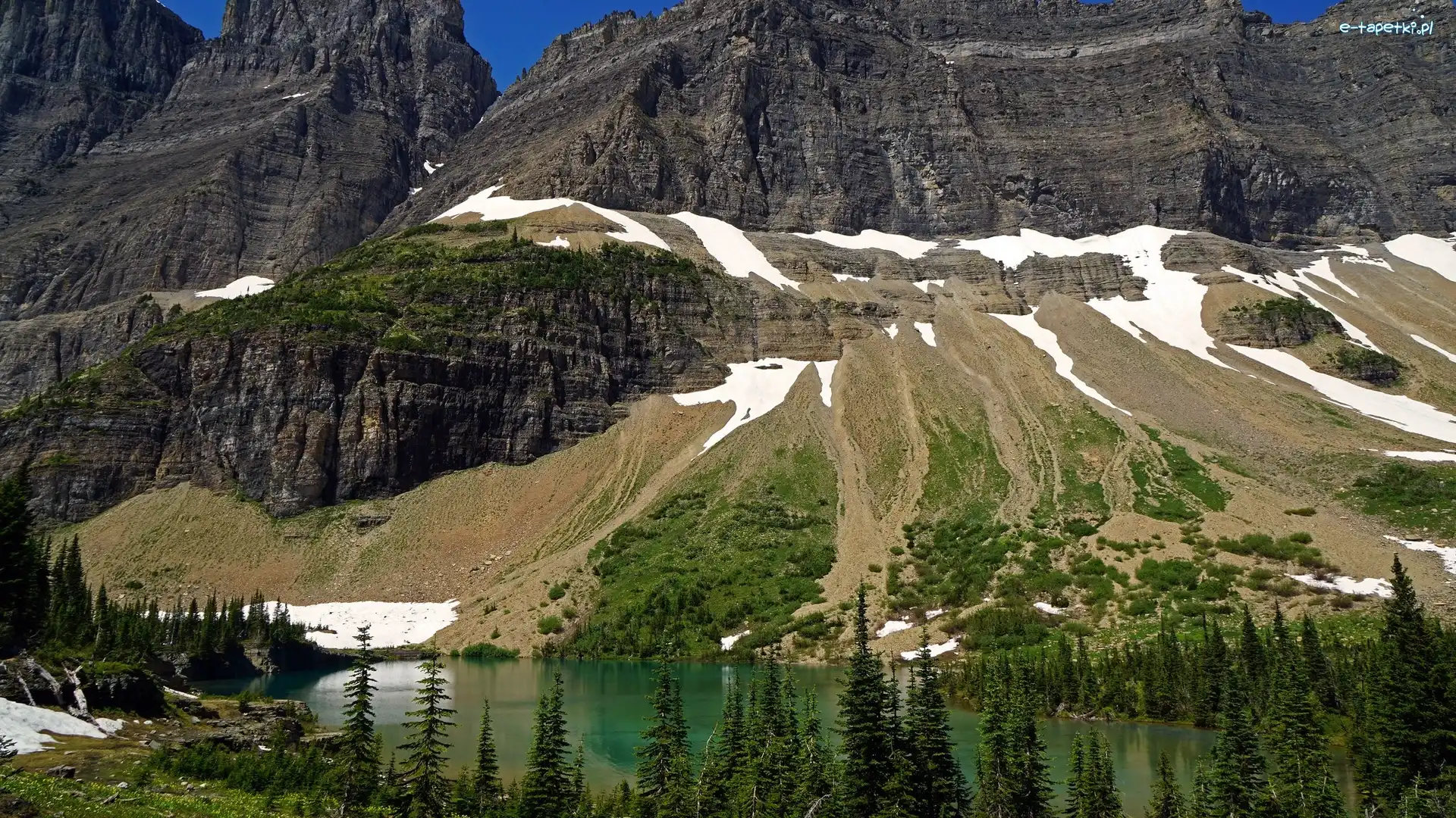Śnieg, Park Narodowy Glacier, Jezioro Iceberg Lake, Stan Montana, Stany Zjednoczone, Świerki, Góry