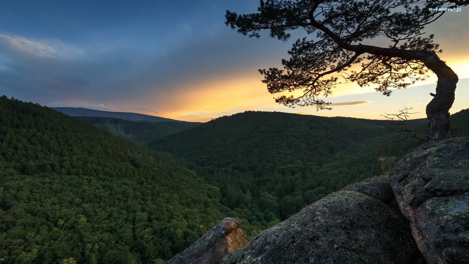 Las, Szczyt Brocken, Park Narodowy Harzu, Saksonia, Niemcy, Wschód słońca, Skały, Góry Harz, Drzewo