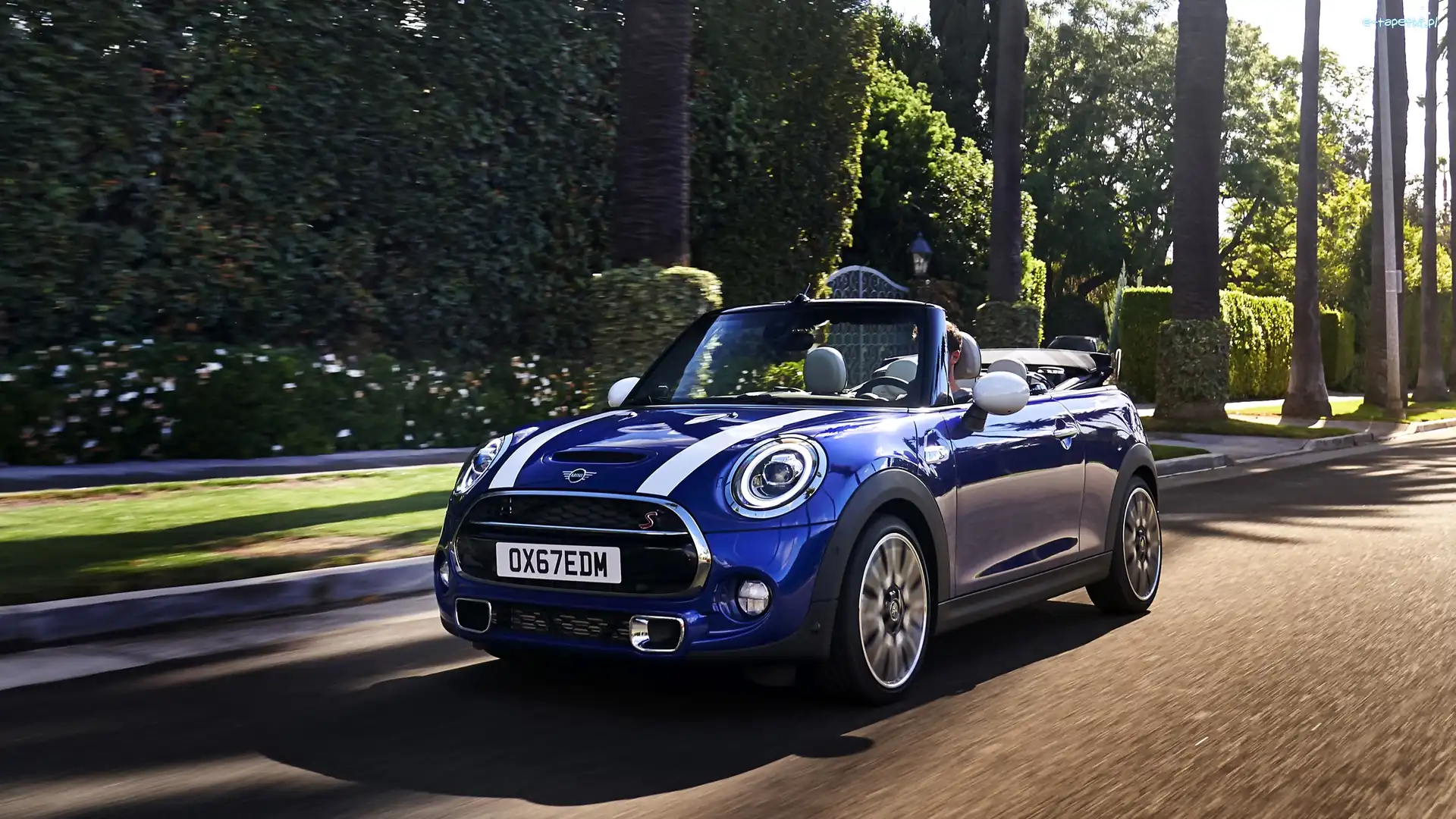 Mini Cooper S, 2019, Convertible, Niebieskie