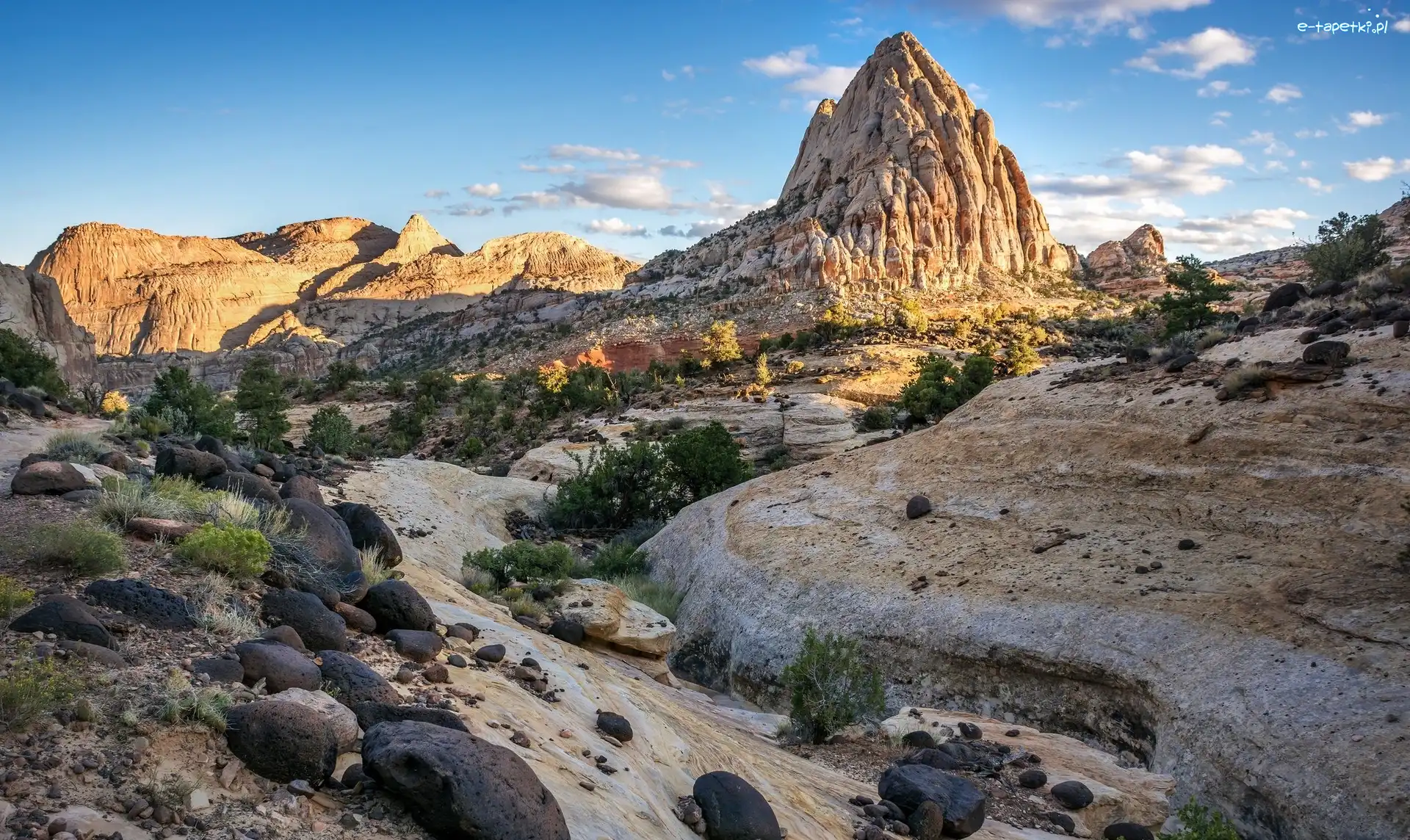Kamienie, Park Narodowy Capitol Reef, Góra Pectols Pyramid, Stan Utah, Stany Zjednoczone, Rośliny, Góry