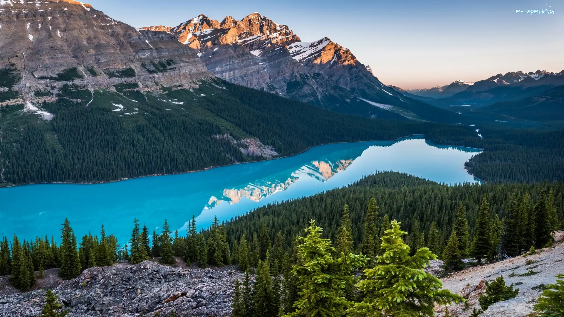 Kanada, Jezioro Peyto Lake, Park Narodowy Banff, Lasy, Góry Canadian Rockies
