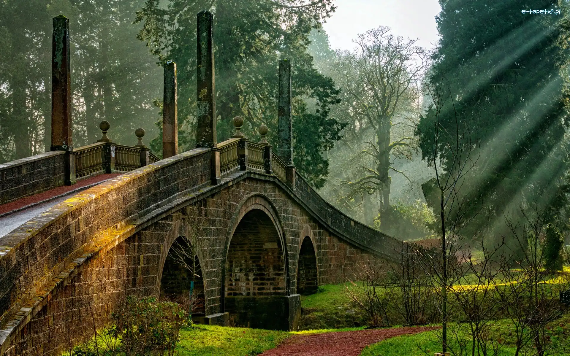 Most, Rzeka Lugar, Posiadłość Dumfries House, Hrabstwo Ayrshire, Szkocja, Światła, Smugi, Lugar Water, Drzewa