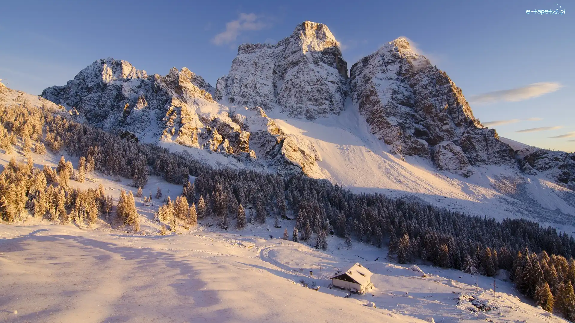 Las, Szczyt Monte Pelmo, Zima, Dom, Góry Dolomity, Włochy
