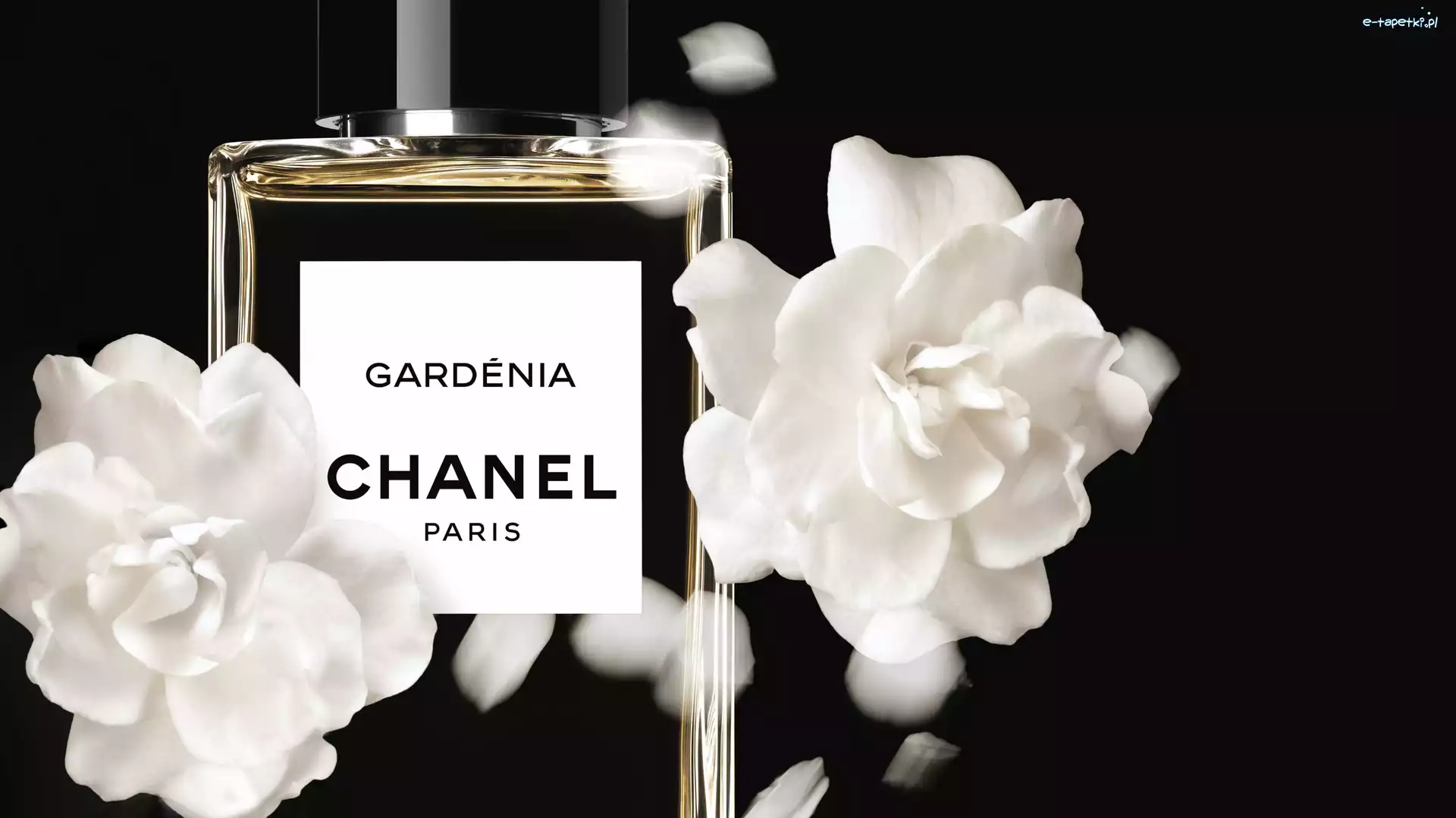 Gardenia, Chanel, Perfumy, Kwiaty