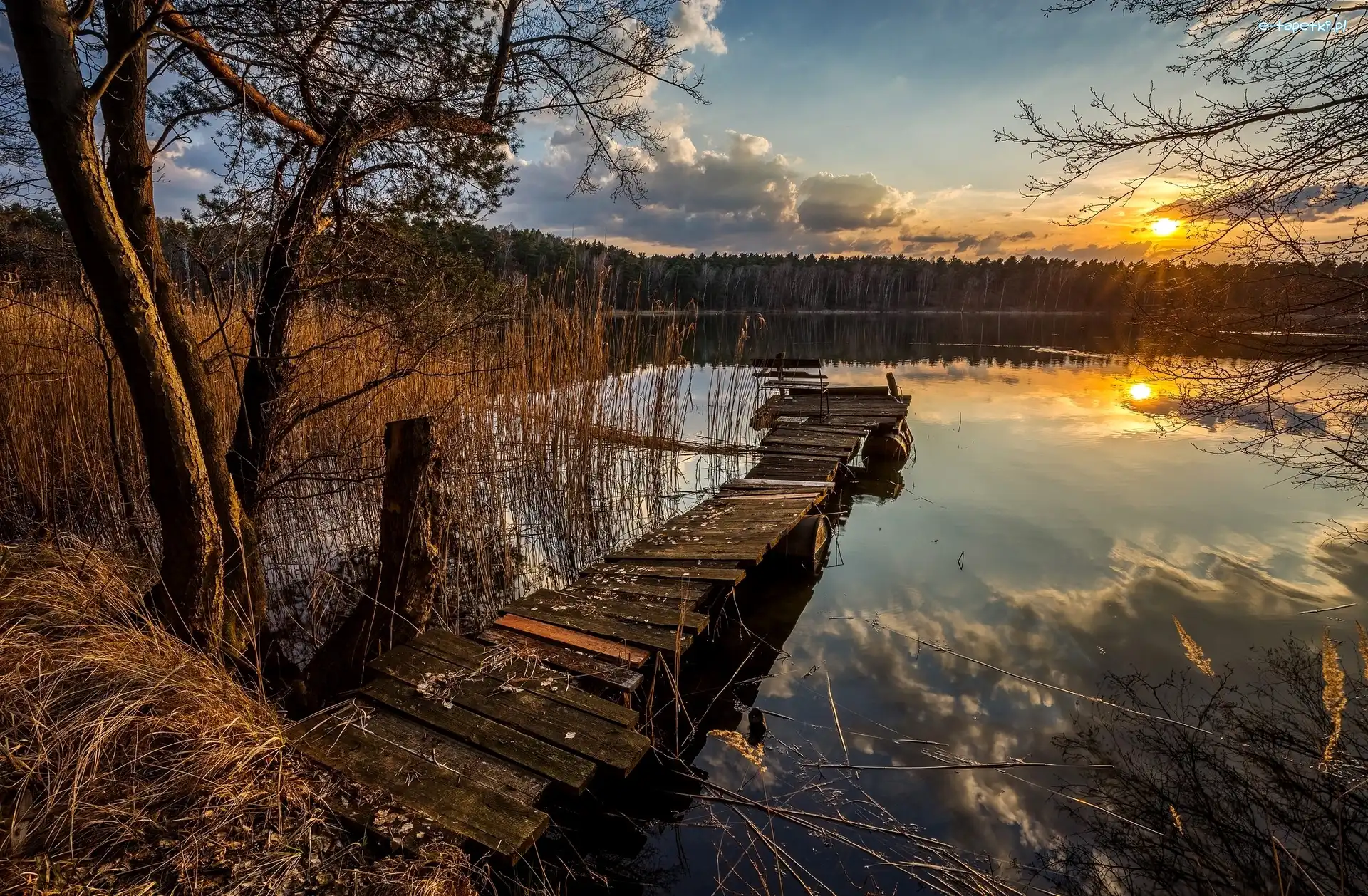 Jezioro, Pomost, Zachód Słońca, Drzewa, Szuwary