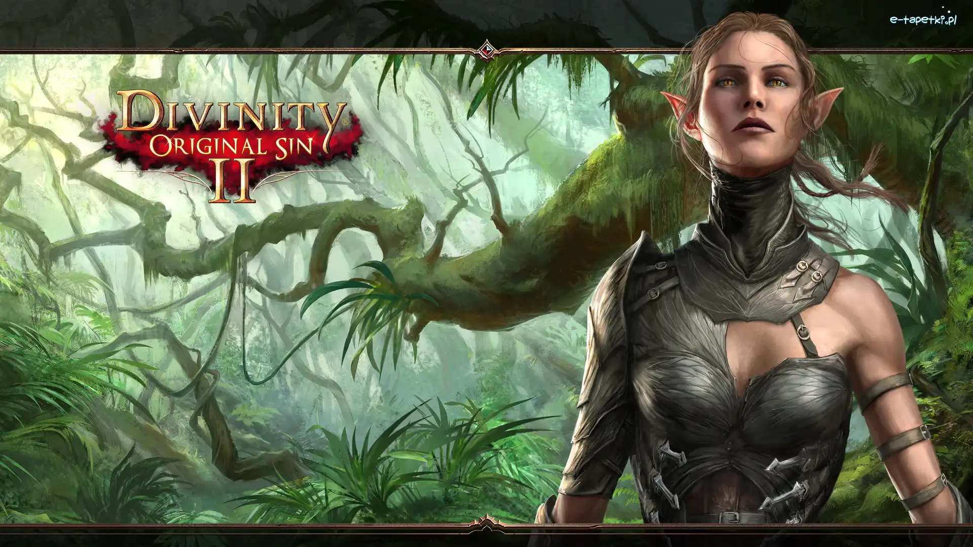 Postać, Sebille, Elf, Divinity Original Sin II