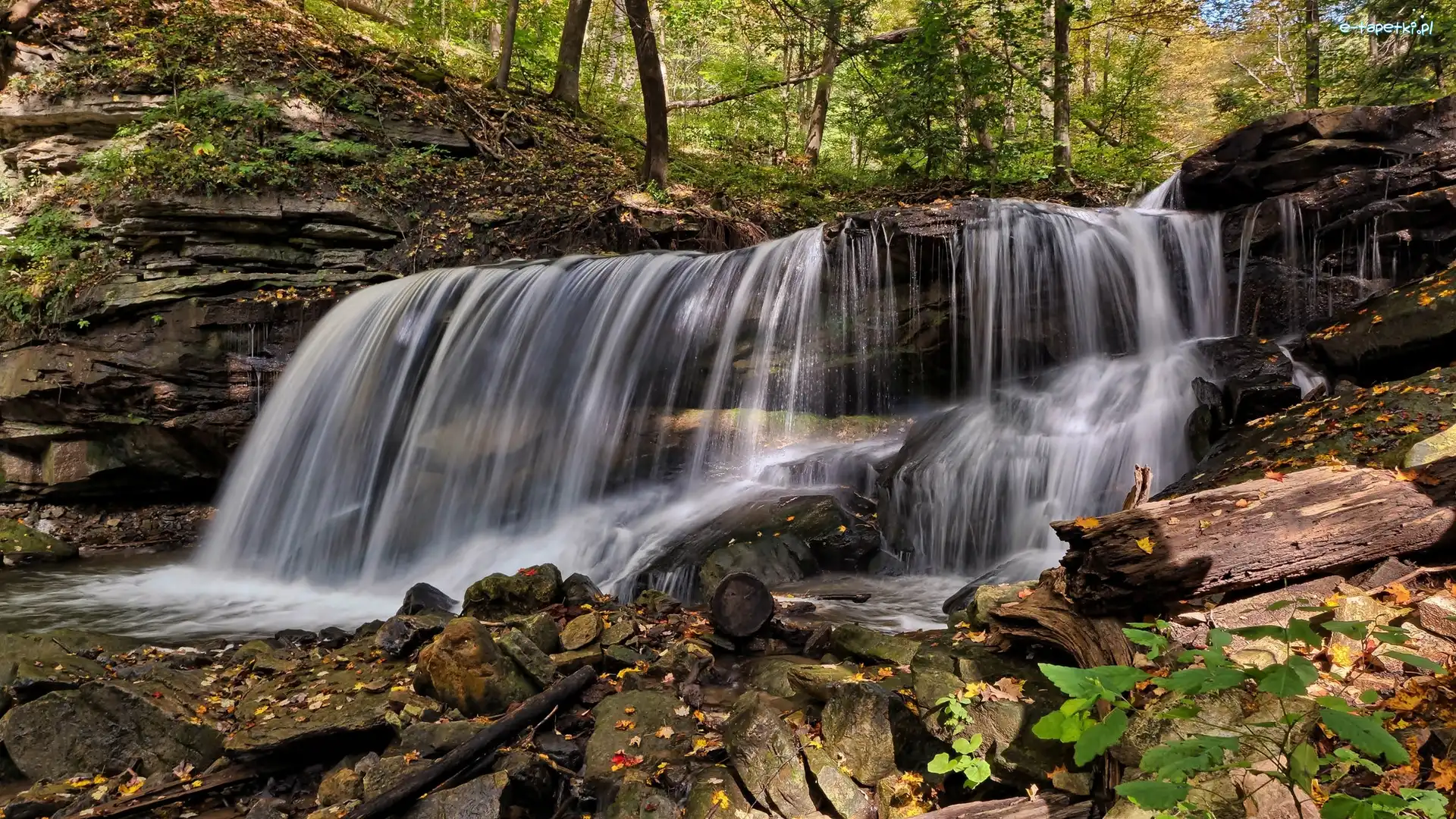 Kanada, Gmina Hamilton, Prowincja Ontario, Wodospad Lower Tews Falls, Strumień Logies Creek